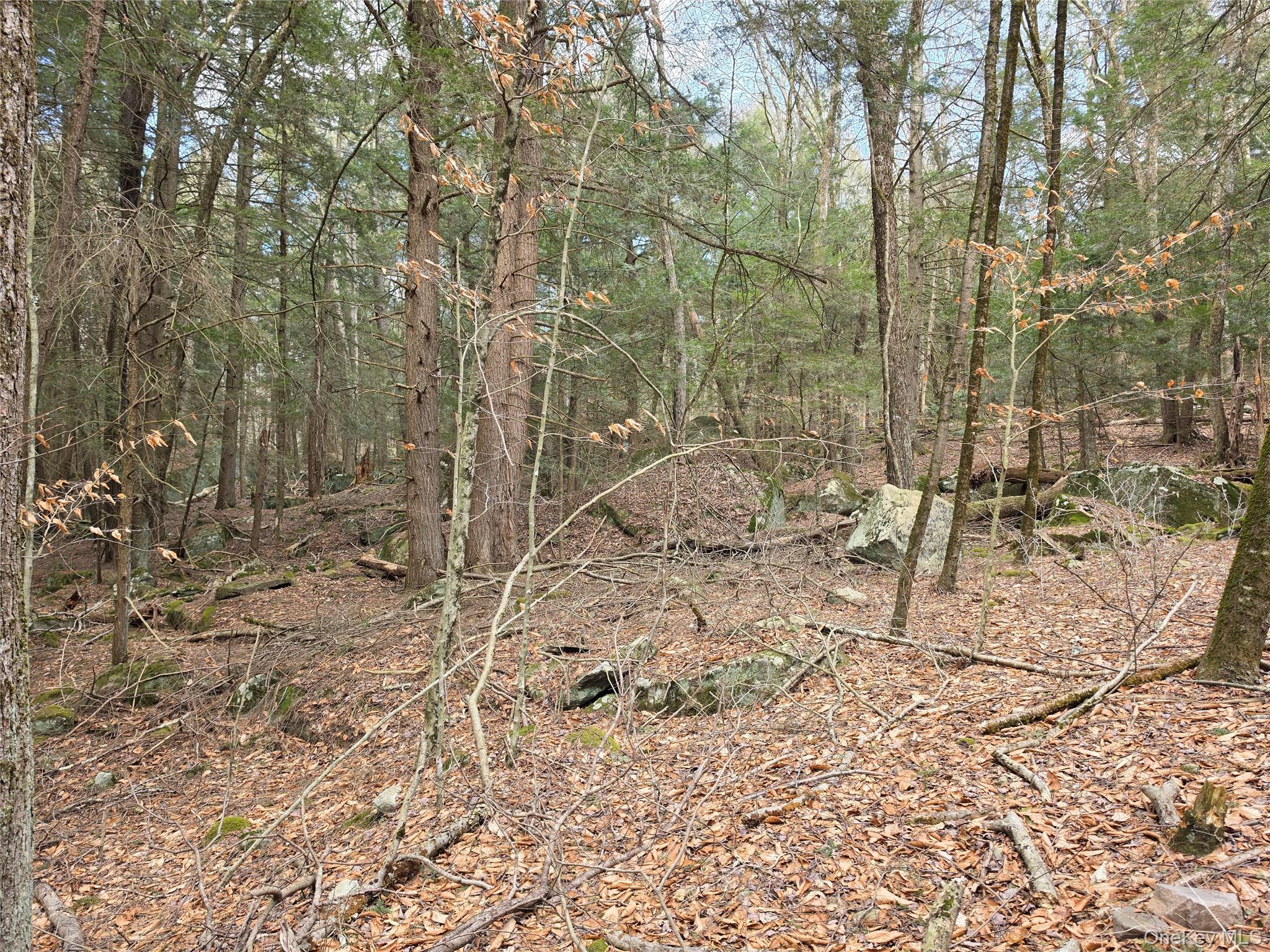Tbd Bobwhite Trail Property Photo 23