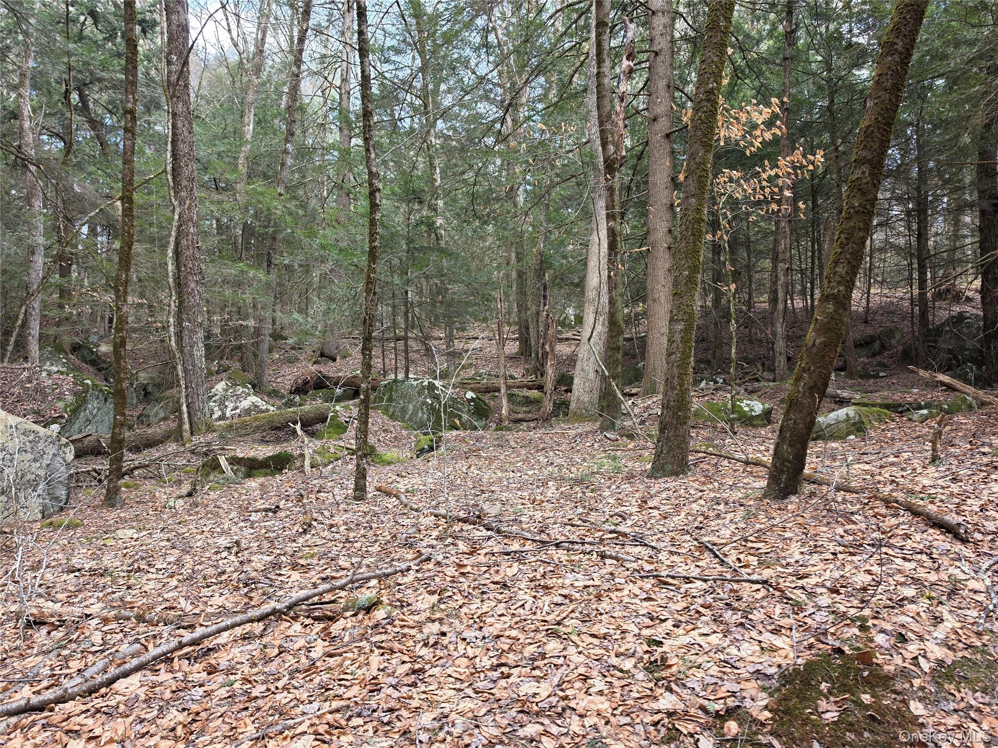 Tbd Bobwhite Trail Property Photo 24