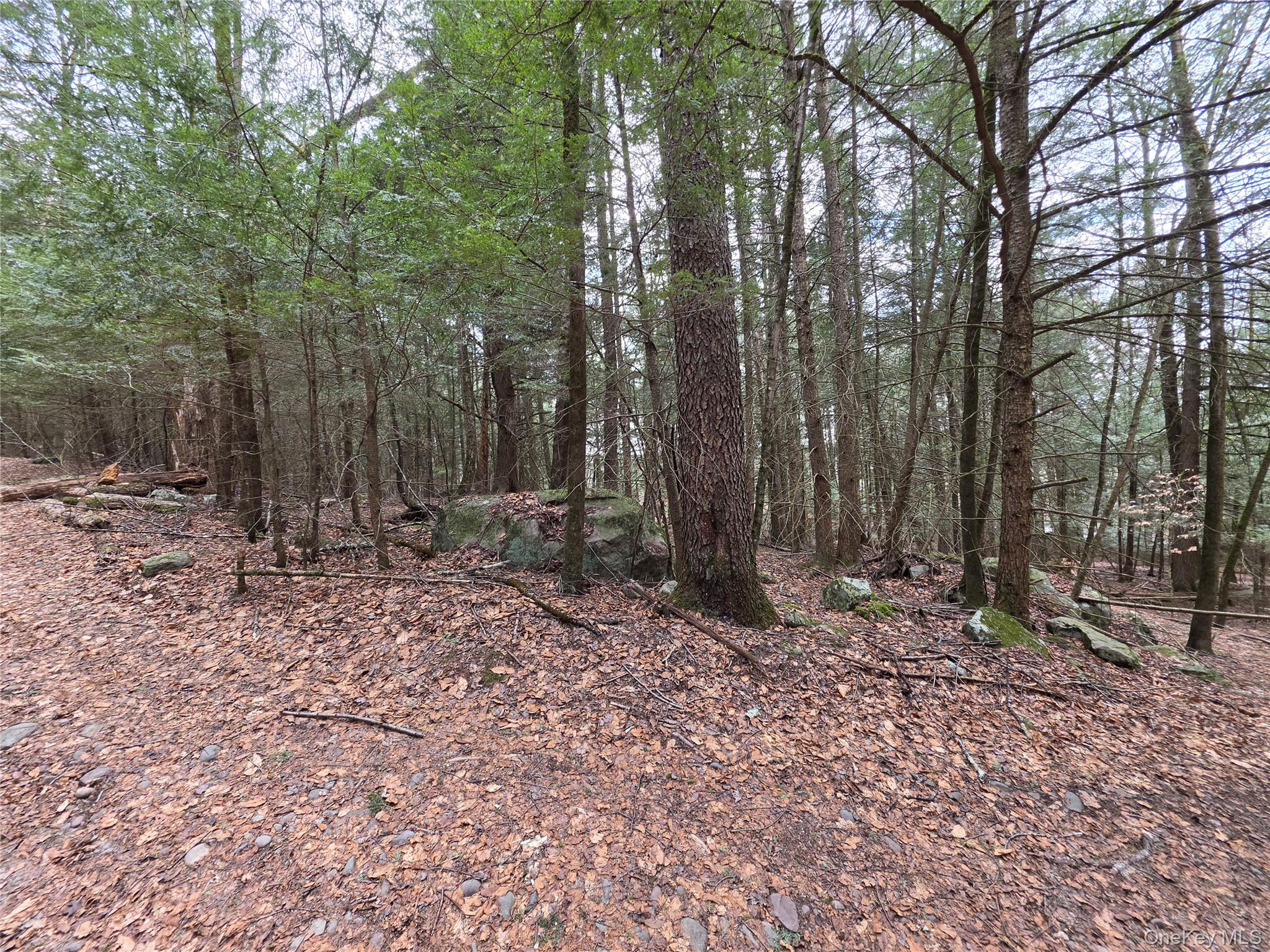 Tbd Bobwhite Trail Property Photo 25