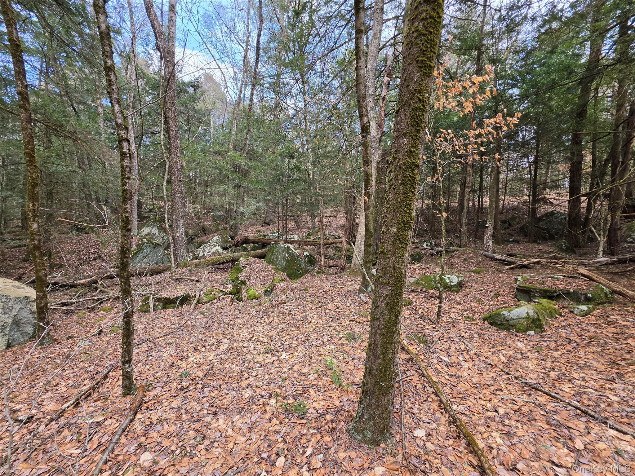 Tbd Bobwhite Trail Property Photo 26