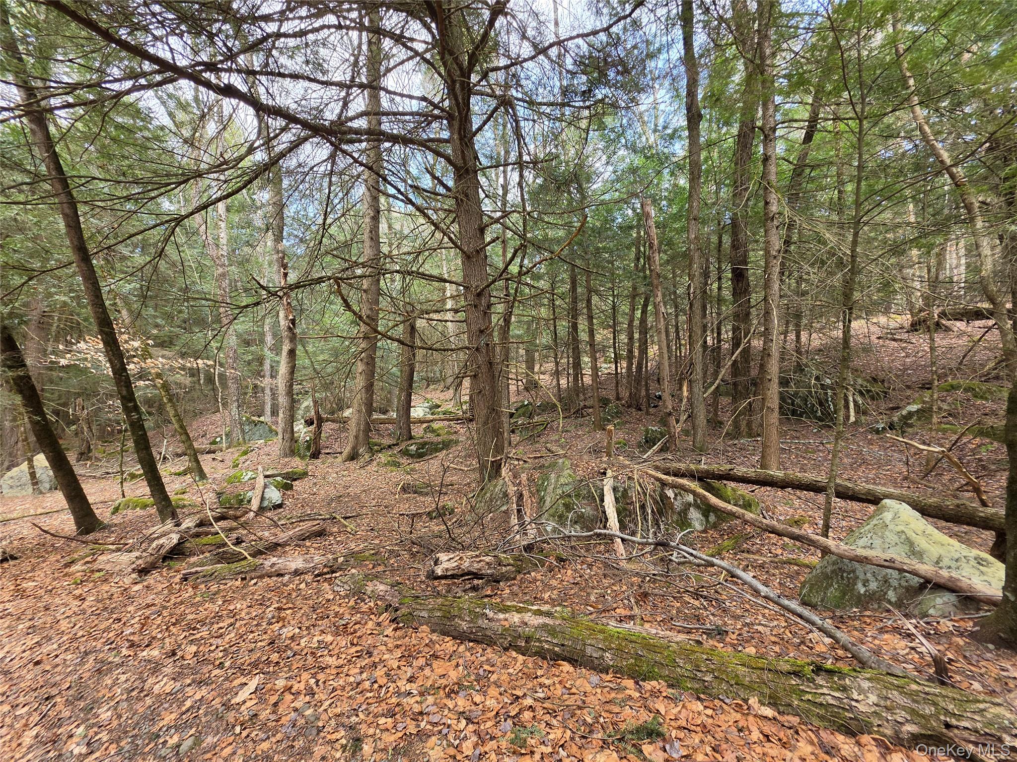 Tbd Bobwhite Trail Property Photo 27