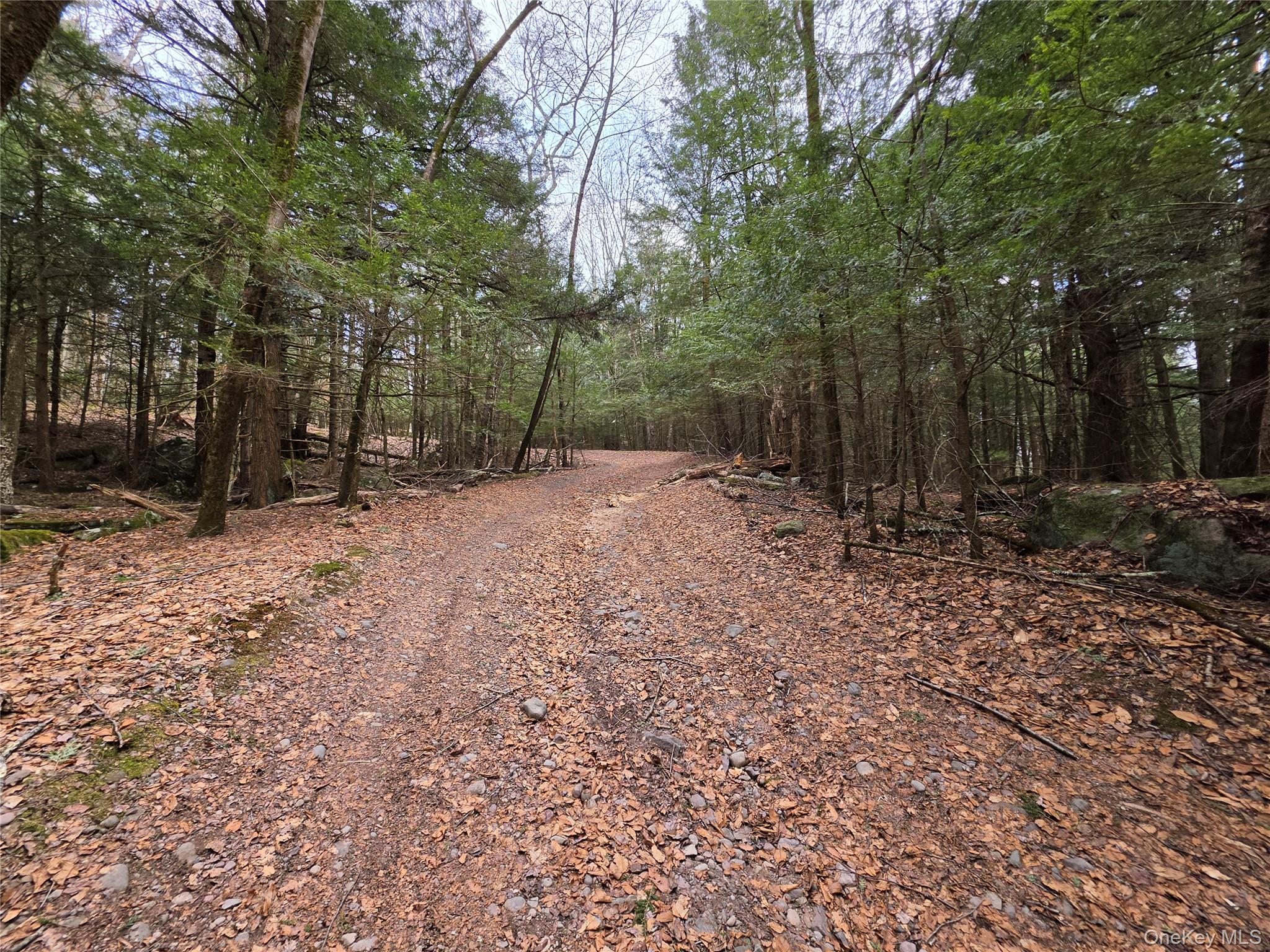 Tbd Bobwhite Trail Property Photo 28