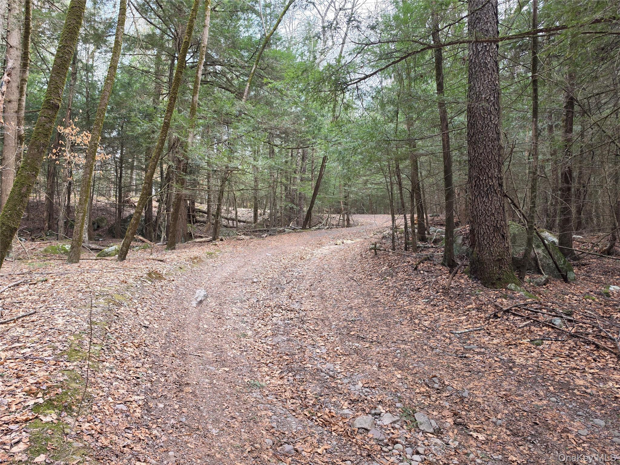 Tbd Bobwhite Trail Property Photo 29
