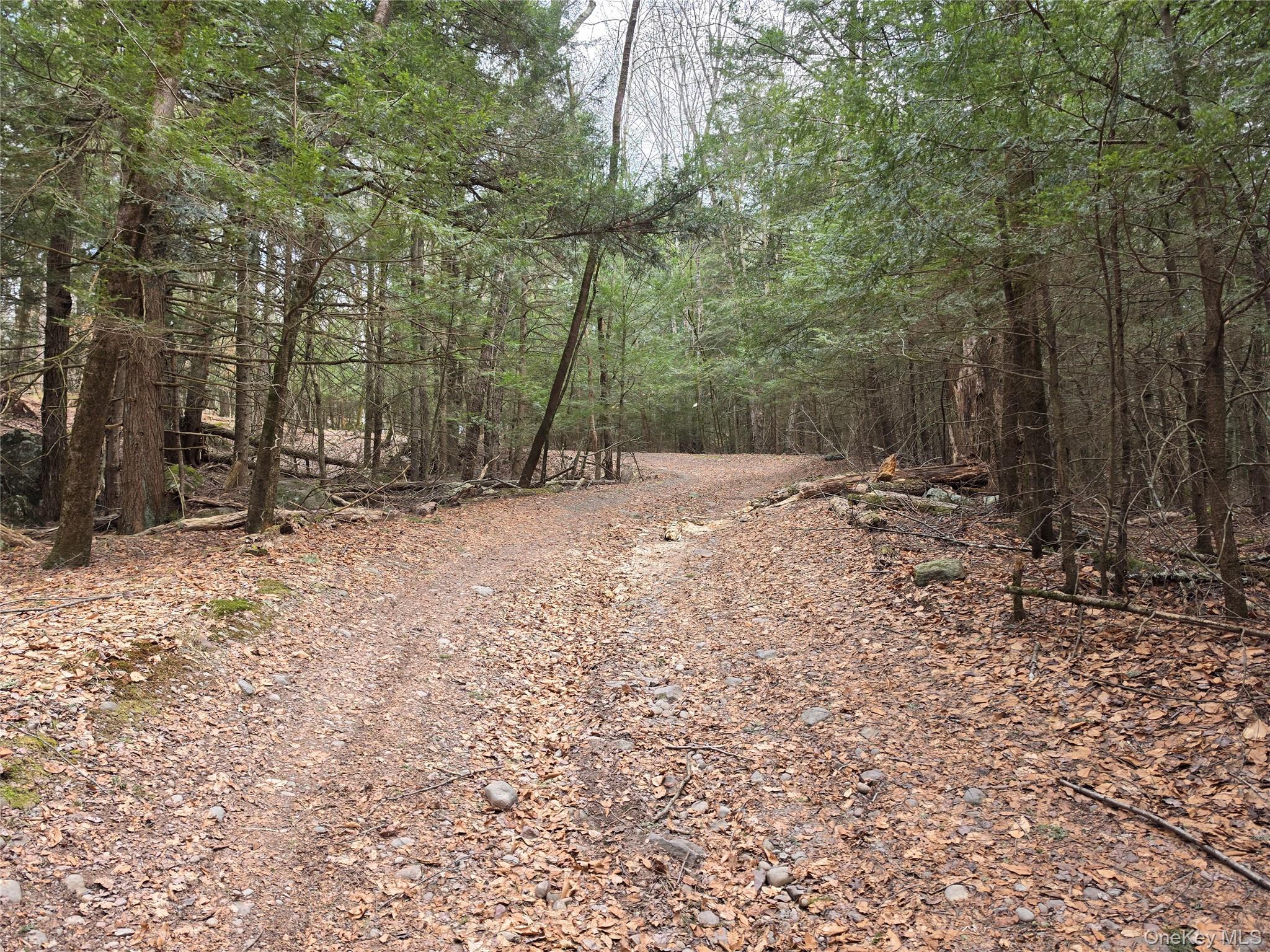 Tbd Bobwhite Trail Property Photo 30
