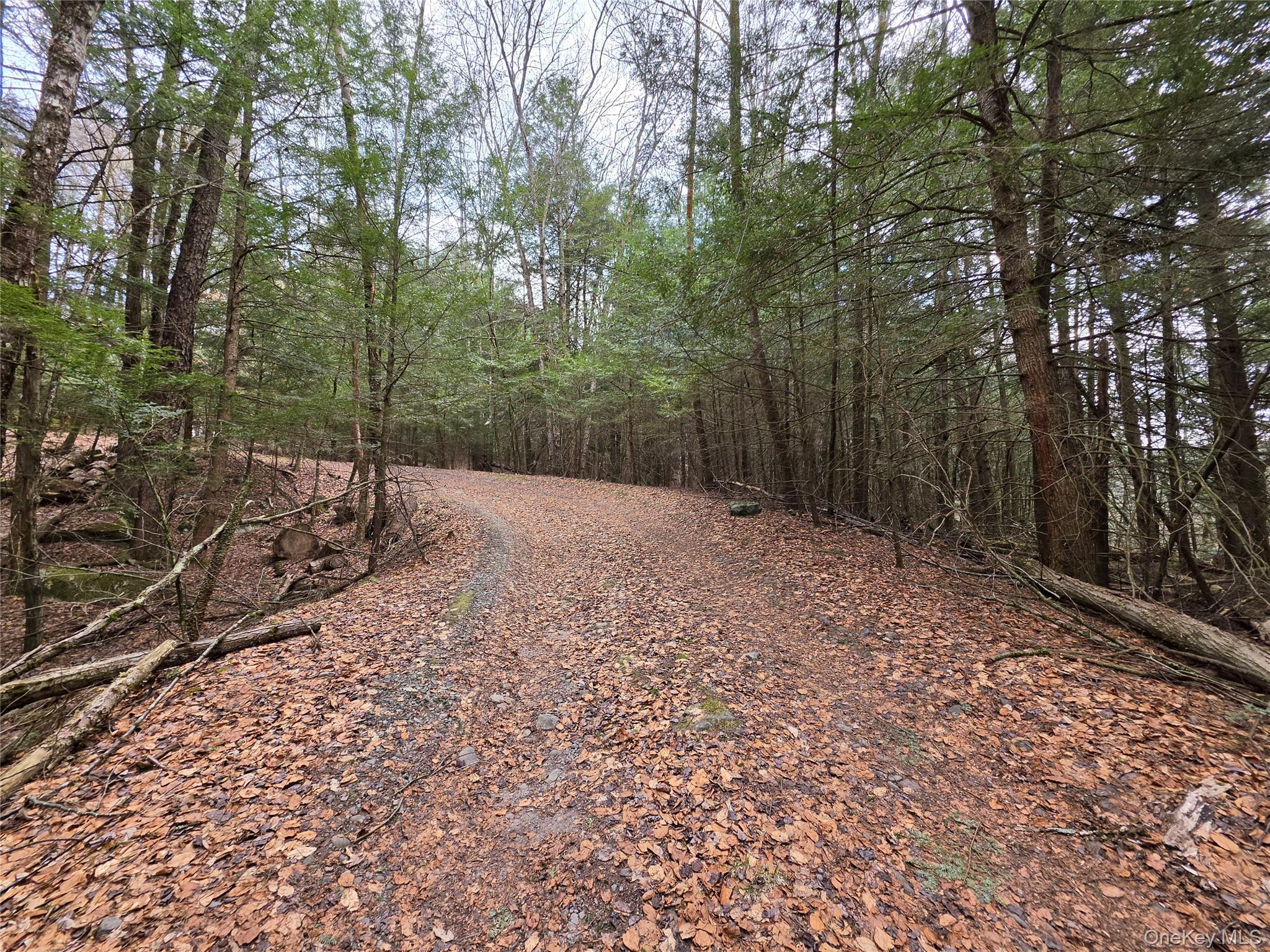 Tbd Bobwhite Trail Property Photo 31