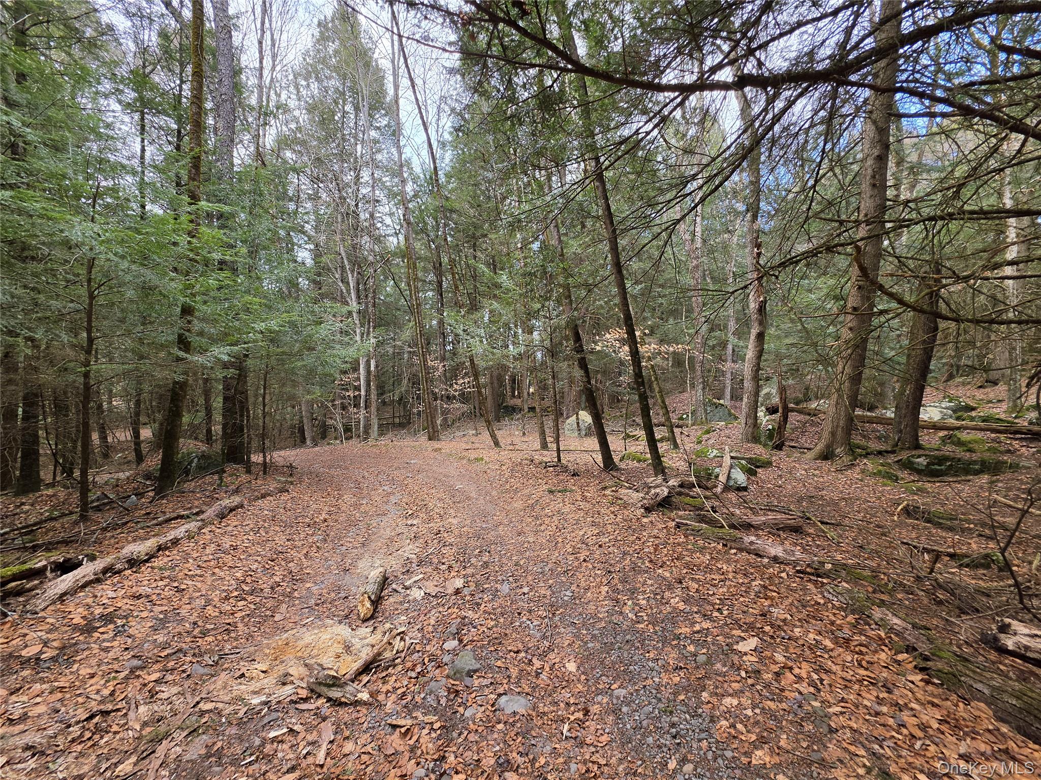 Tbd Bobwhite Trail Property Photo 32
