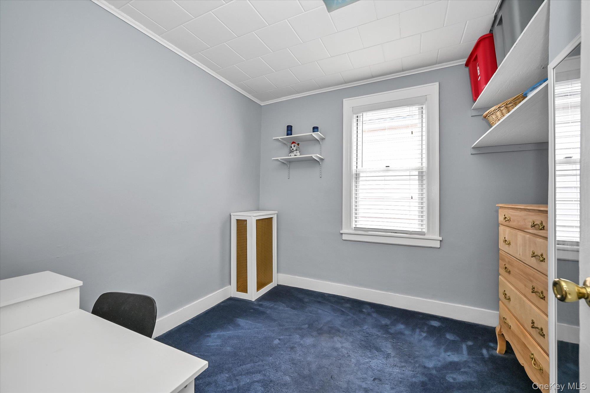 78-33 64th Street Property Photo 12