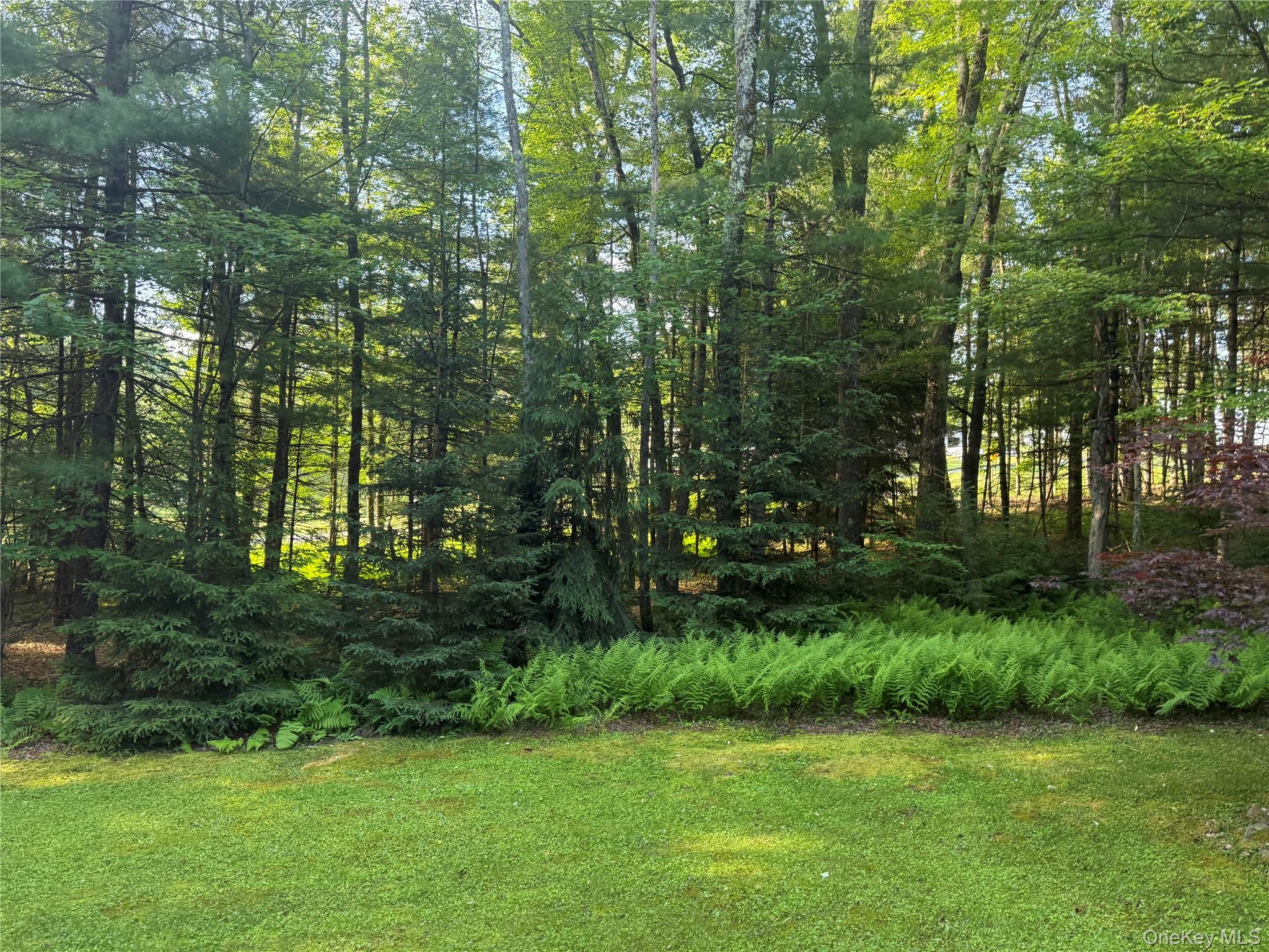 2769 State Route 55 Property Photo 2