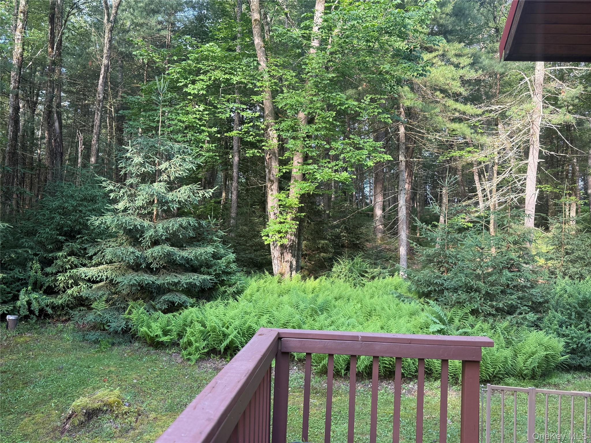 2769 State Route 55 Property Photo 4