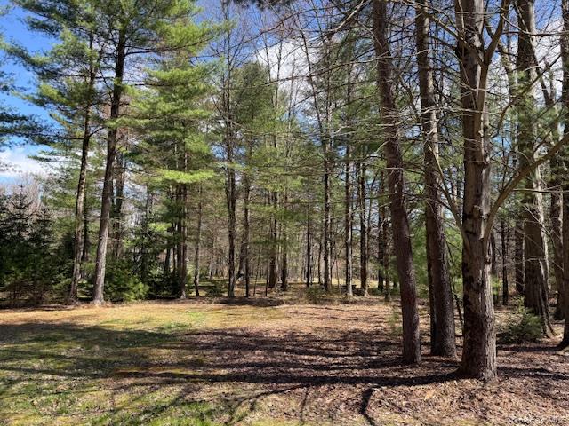 2769 State Route 55 Property Photo 23