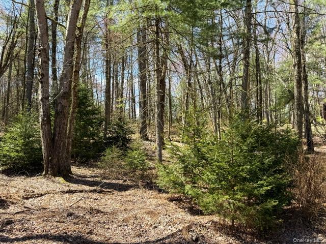 2769 State Route 55 Property Photo 25