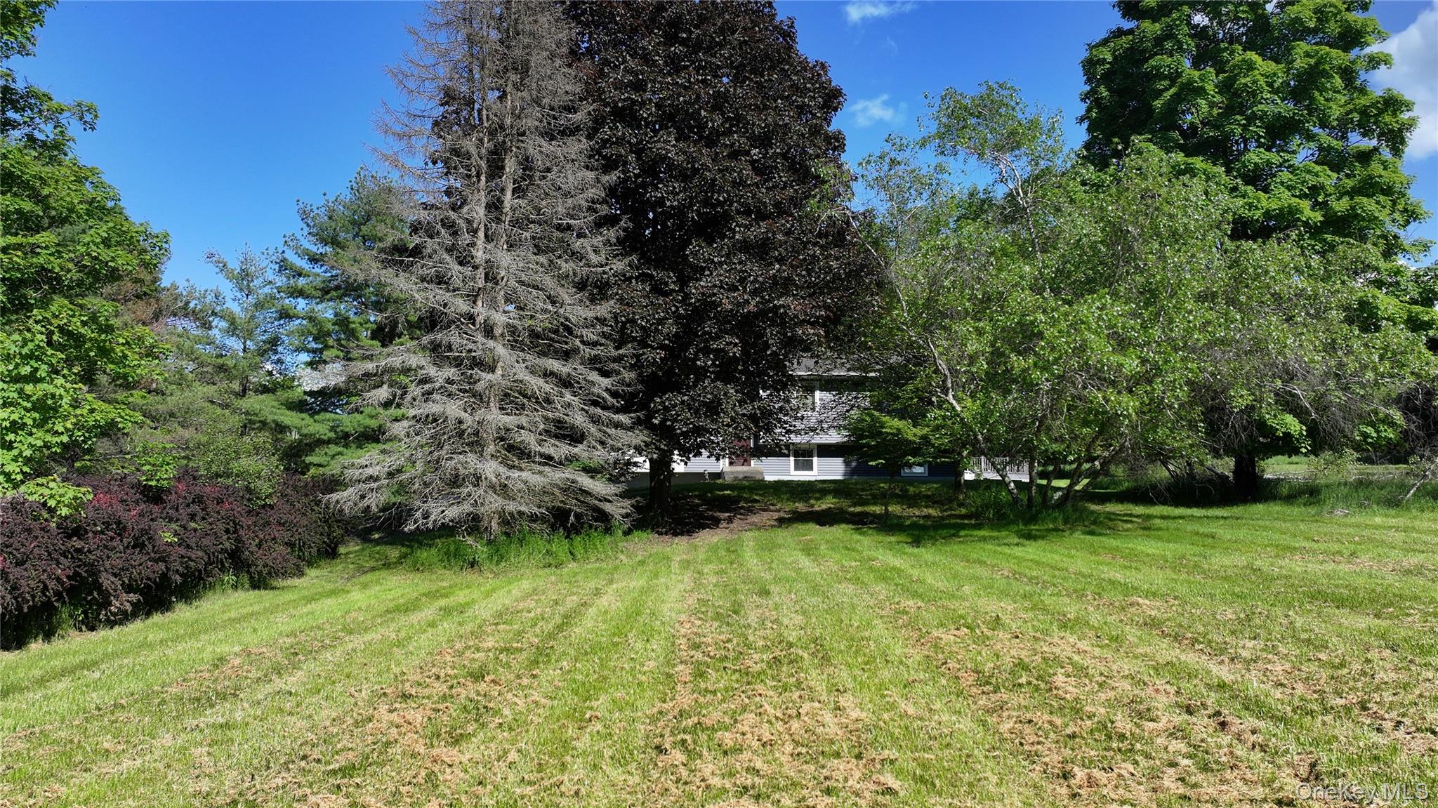 215 Prospect Road Property Photo 42