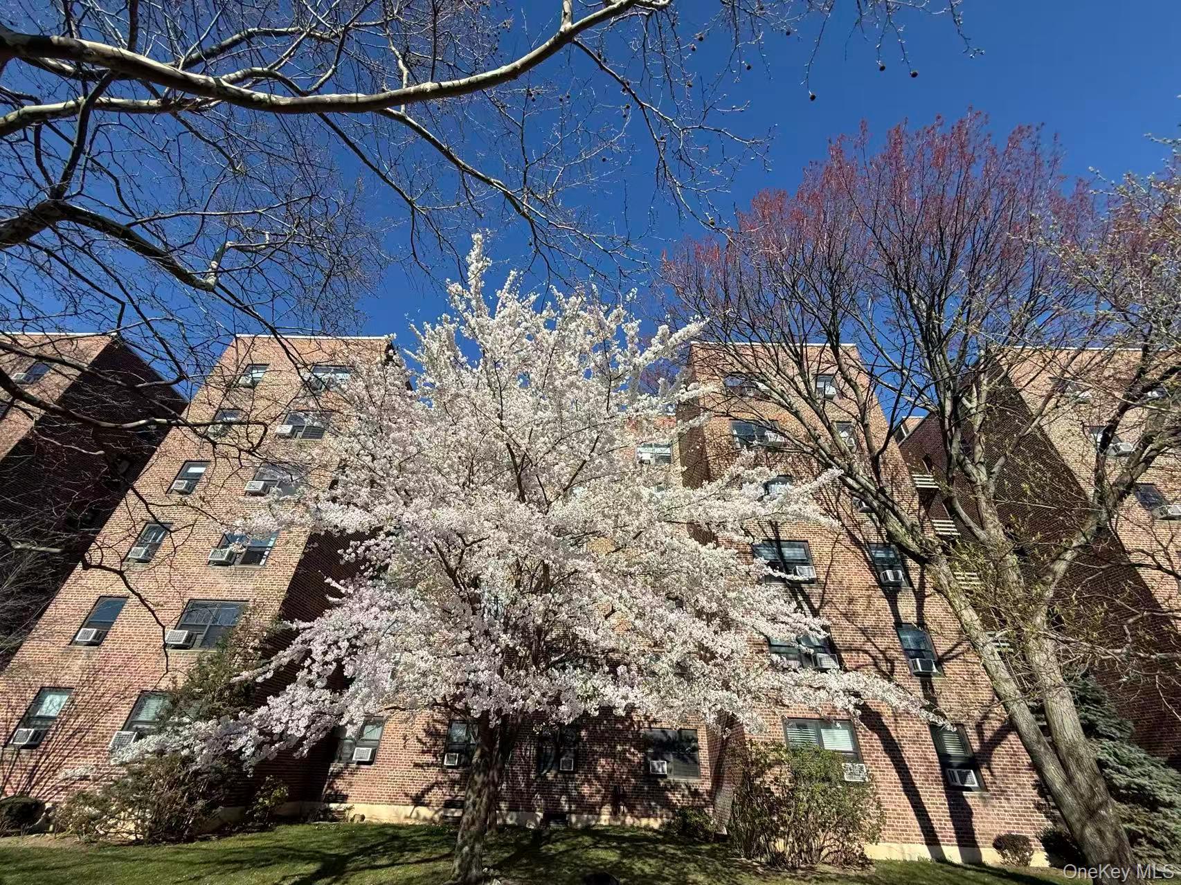 73-11 Bell Blvd 5d Property Photo 2