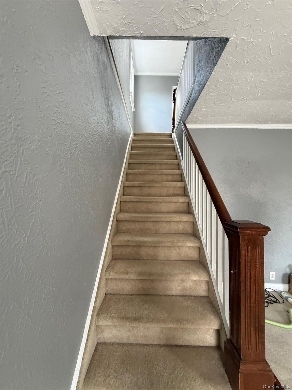 45-46 166th Street Property Photo 5