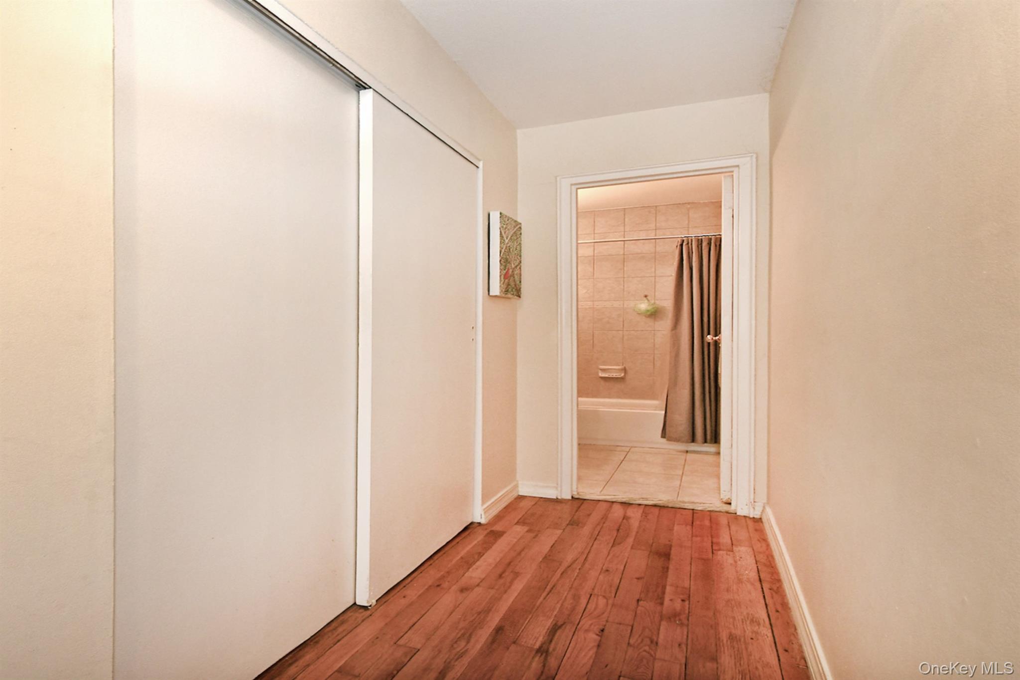 10 Ivy Street 1a Property Photo 26