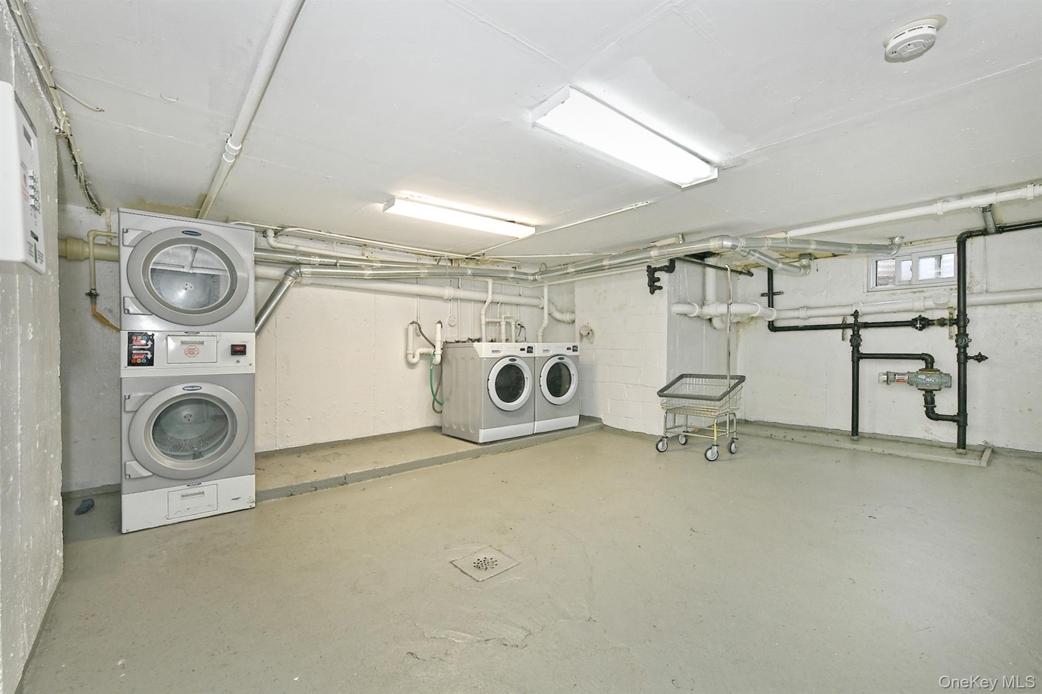 10 Ivy Street 1a Property Photo 27