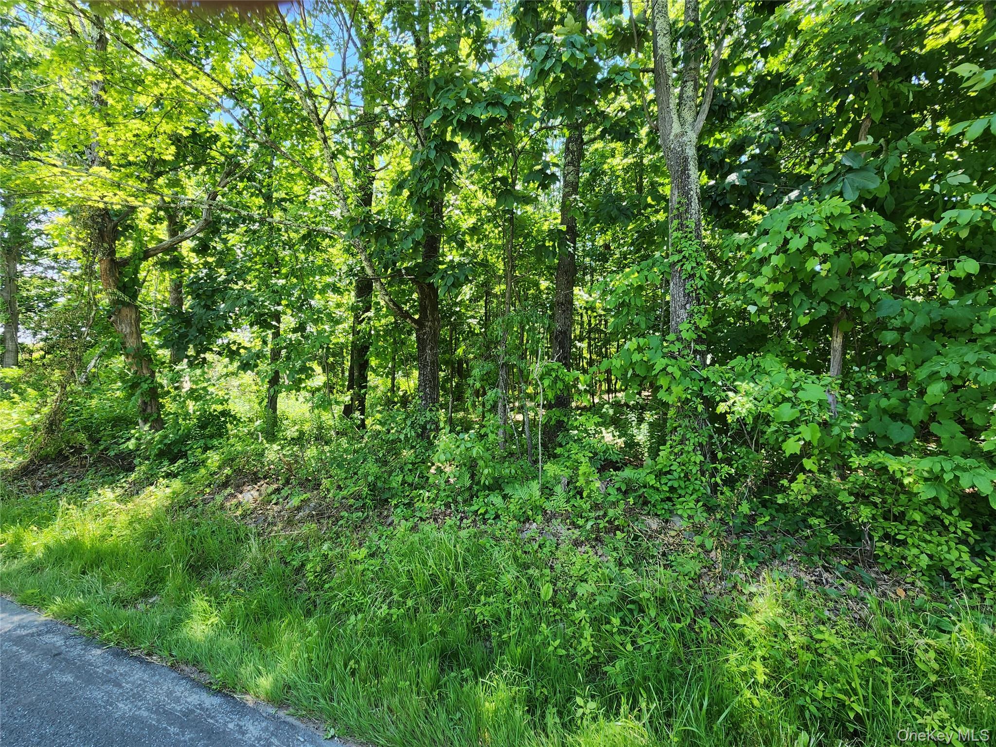 Irish Cape Road Property Photo 1