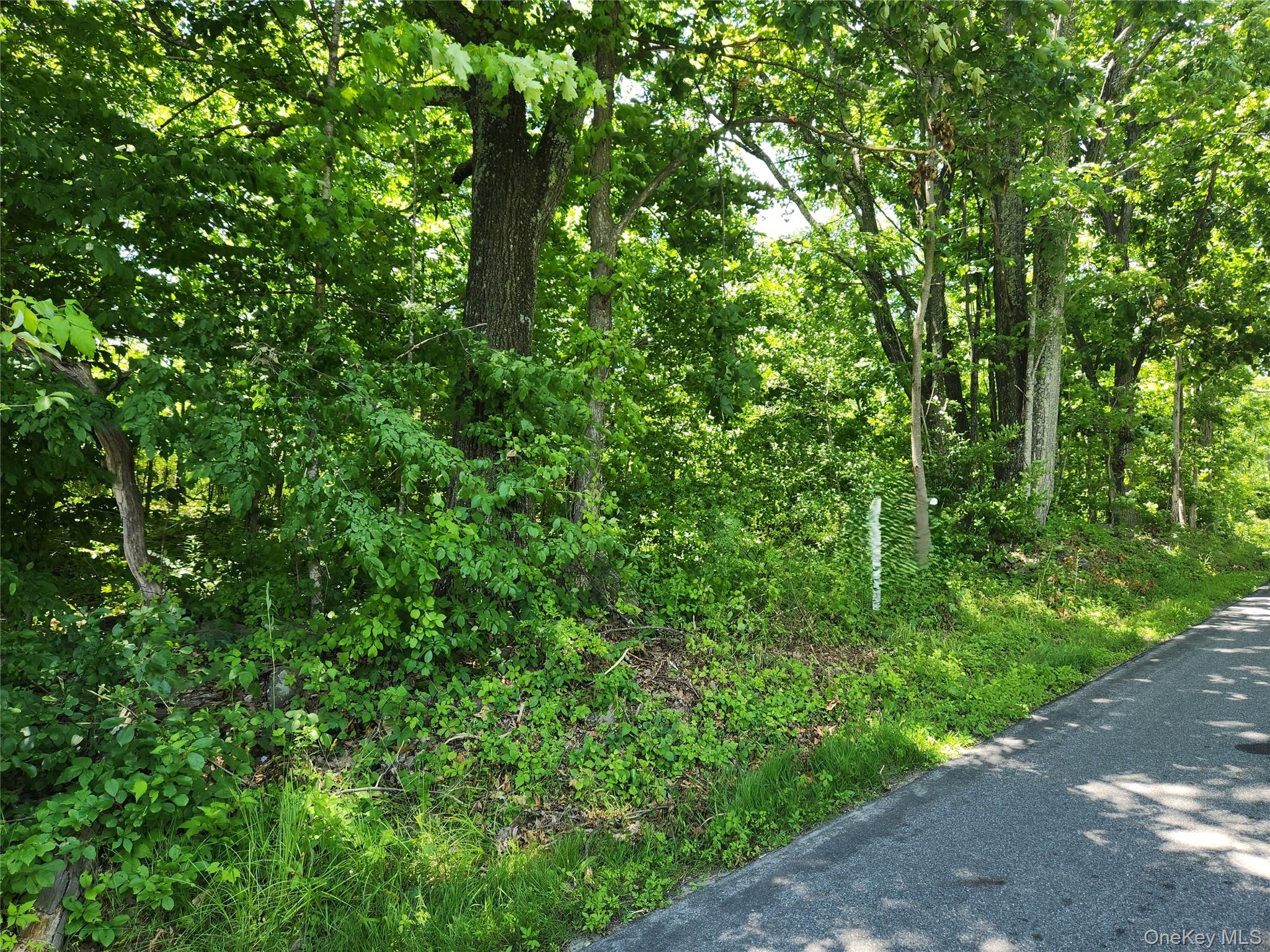 Irish Cape Road Property Photo 2