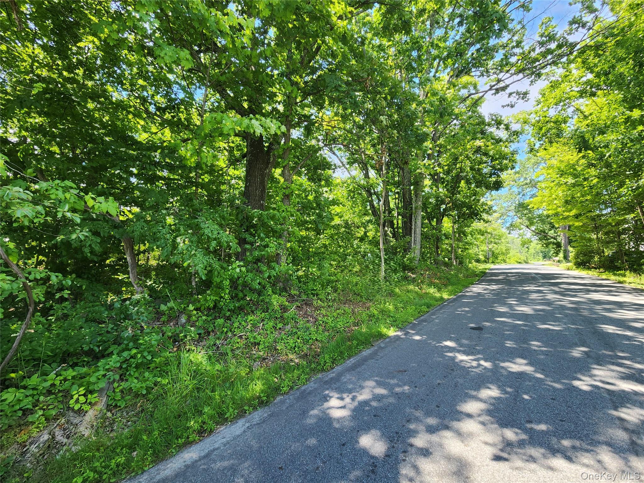 Irish Cape Road Property Photo 3