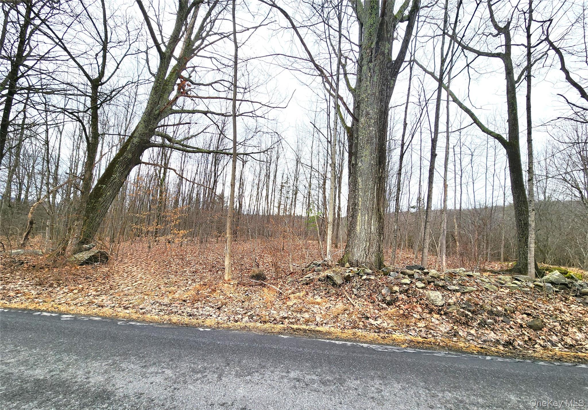 Irish Cape Road Property Photo 10
