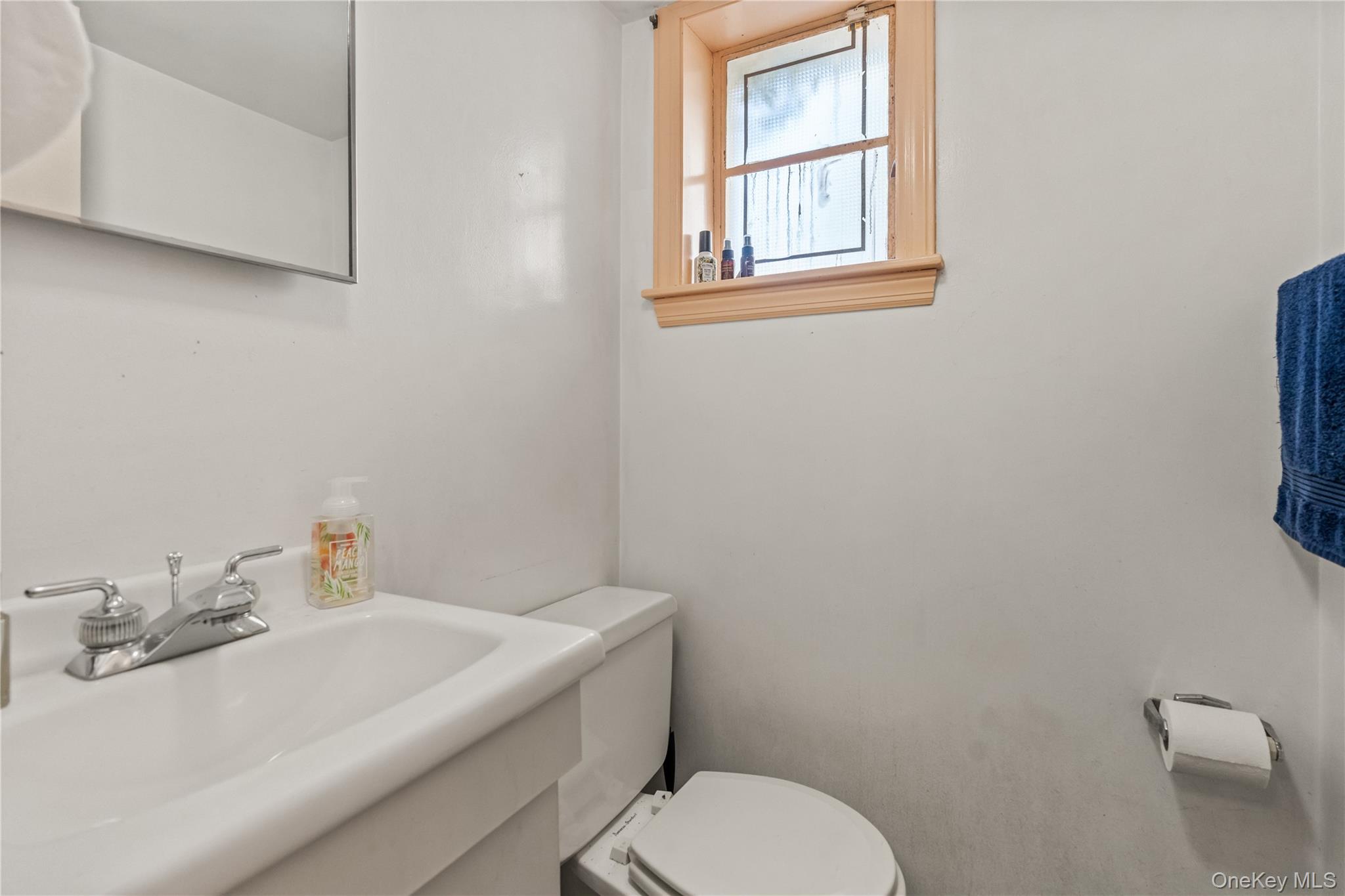 18 Devon Road Property Photo 26