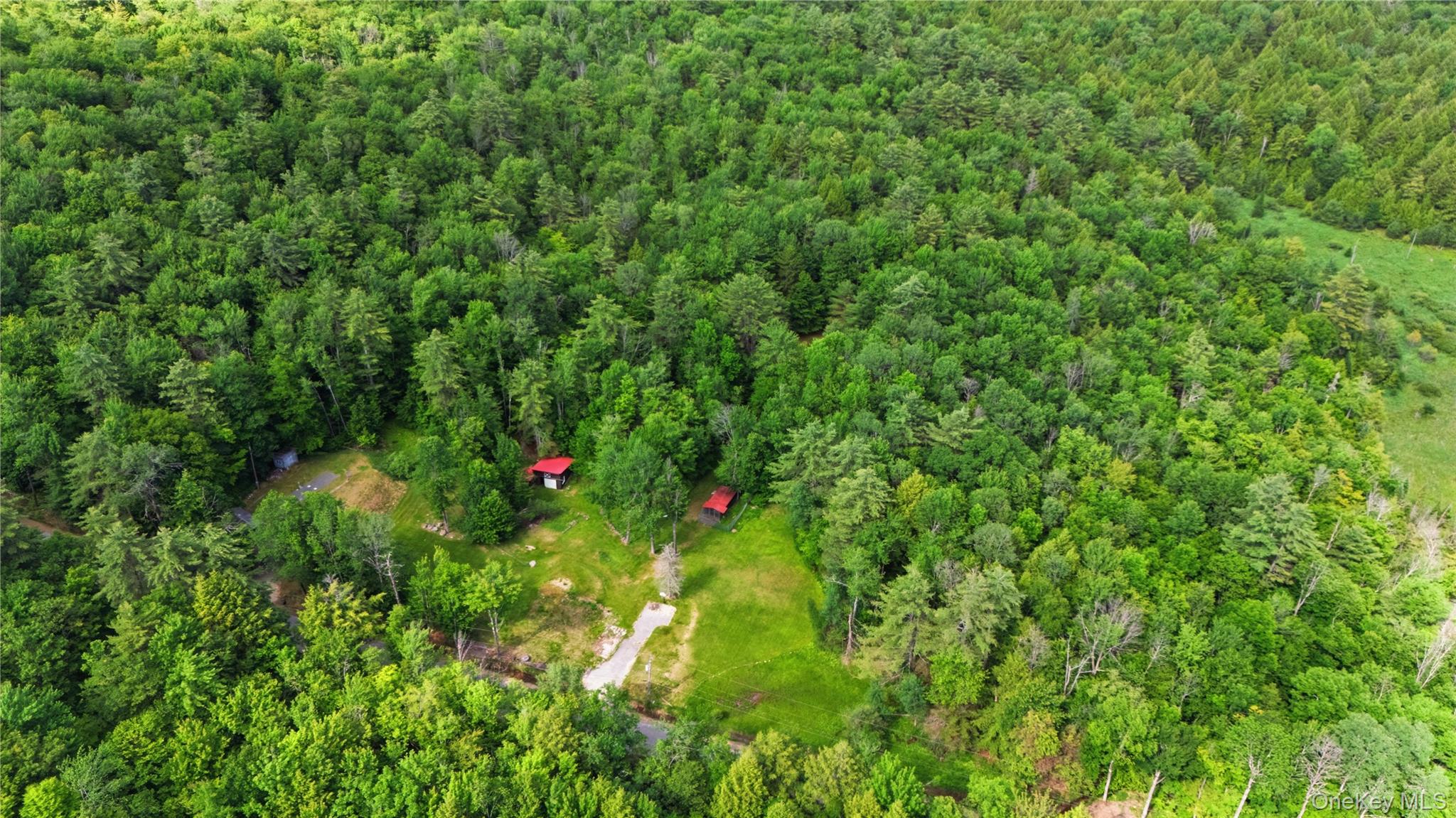 279 Snow Road Property Photo 4