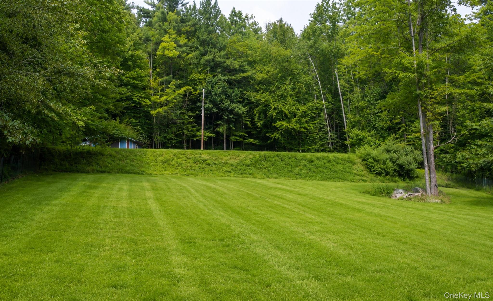 279 Snow Road Property Photo 8