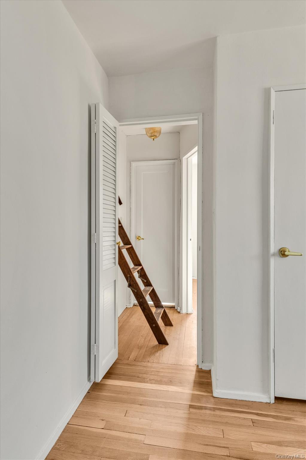 251-42 61st Avenue #3-1150 Property Photo 14