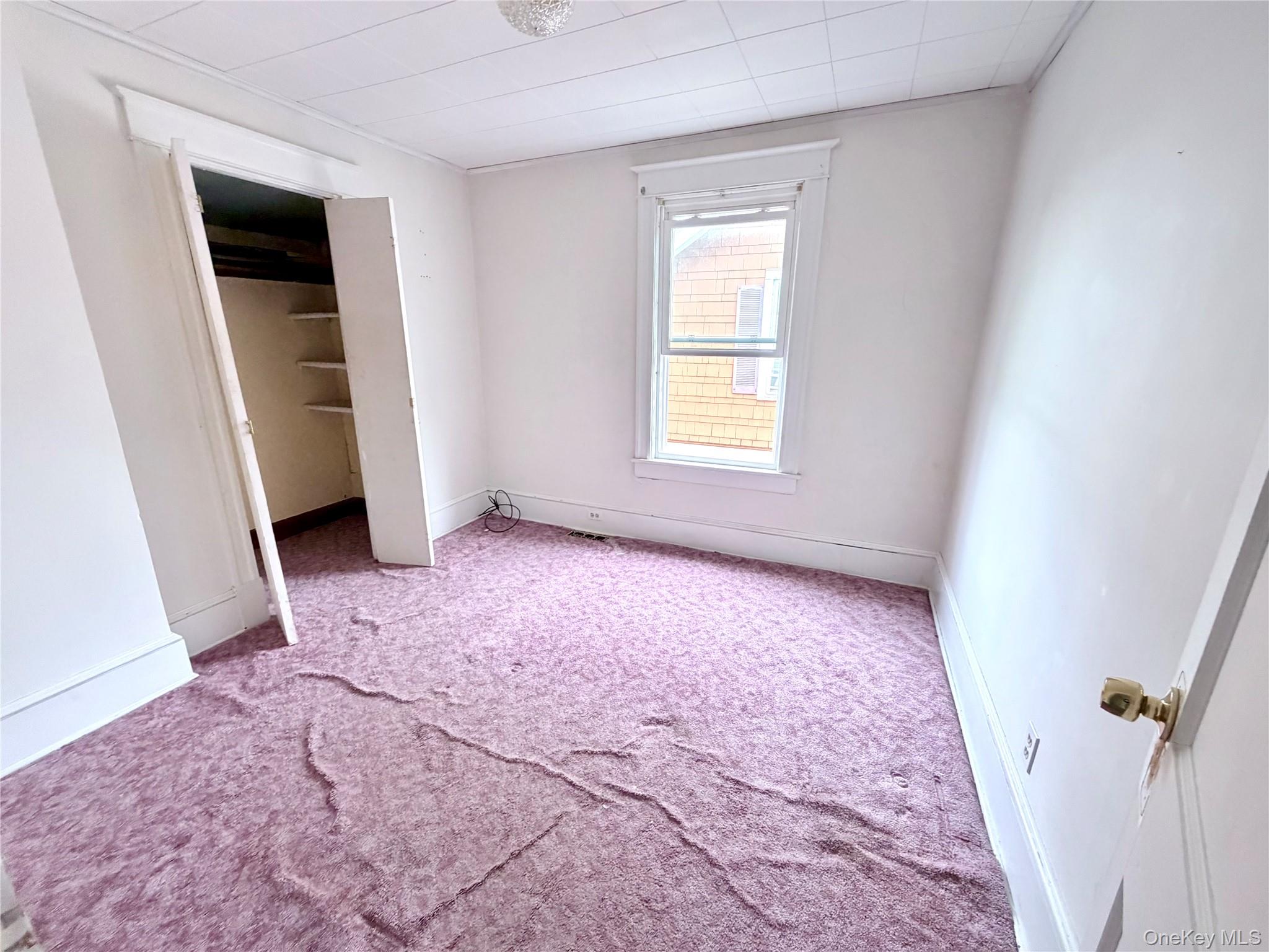 9 Edgar Street Property Photo 23