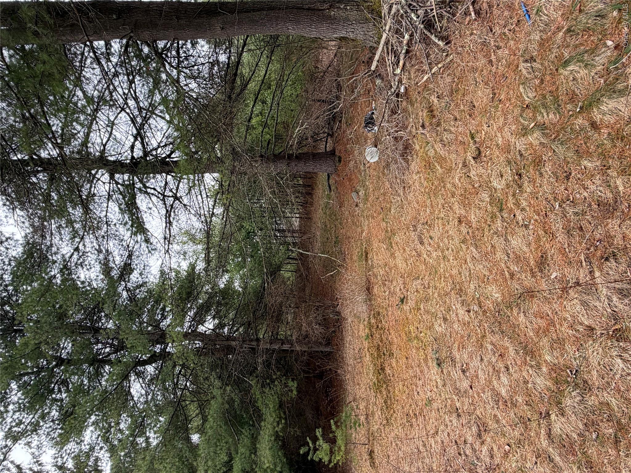 378 Gregory Road Property Photo 21