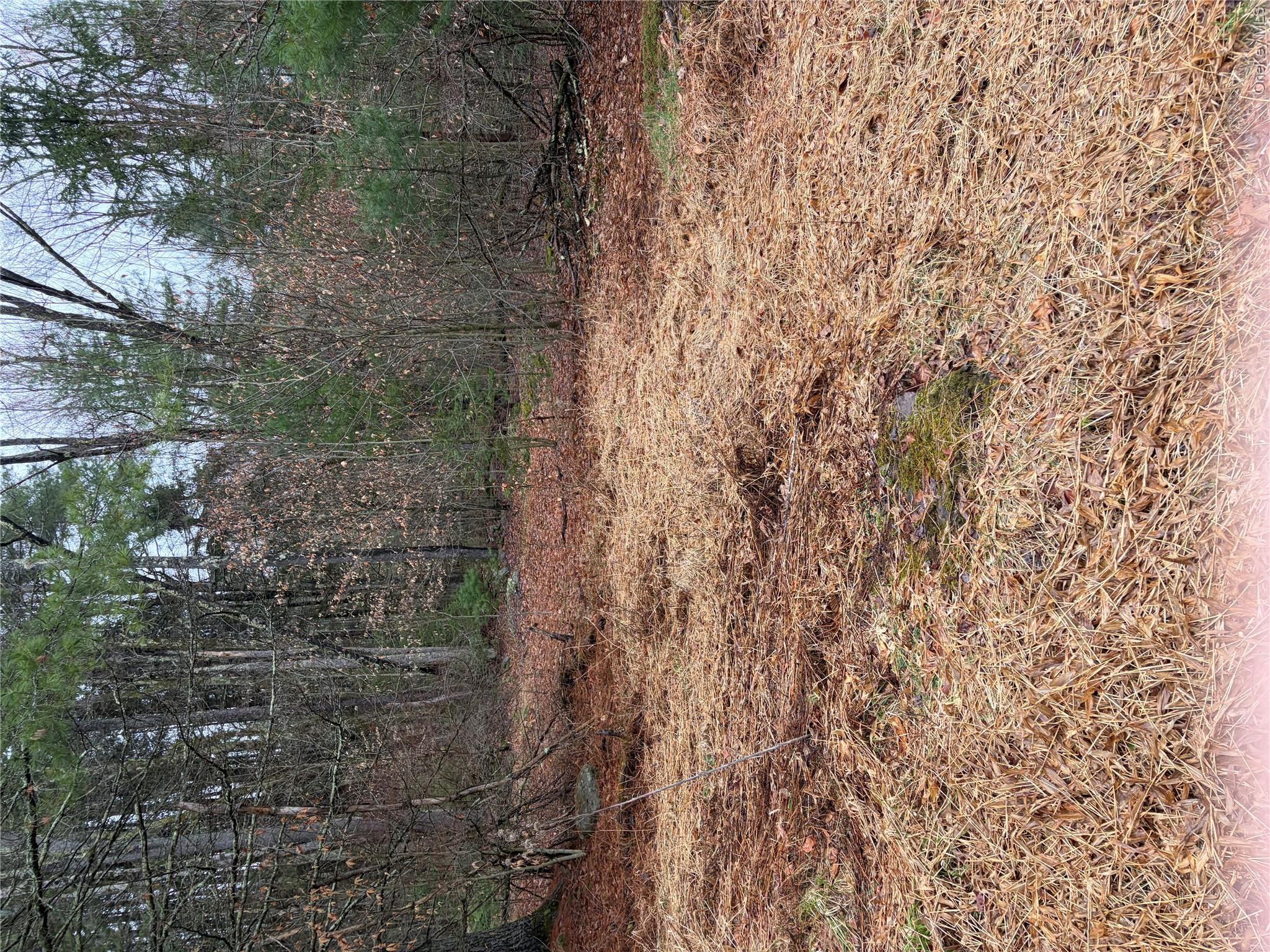 378 Gregory Road Property Photo 25