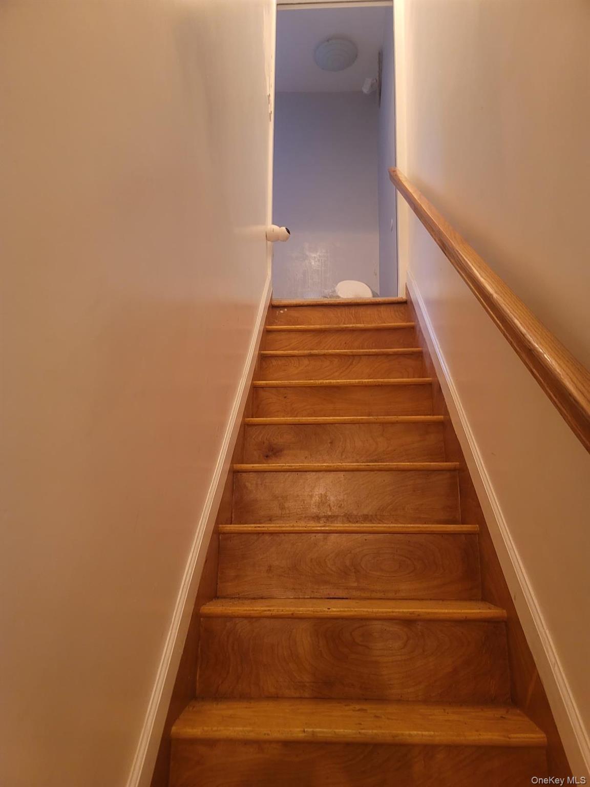 712 E 211th Street Property Photo 4