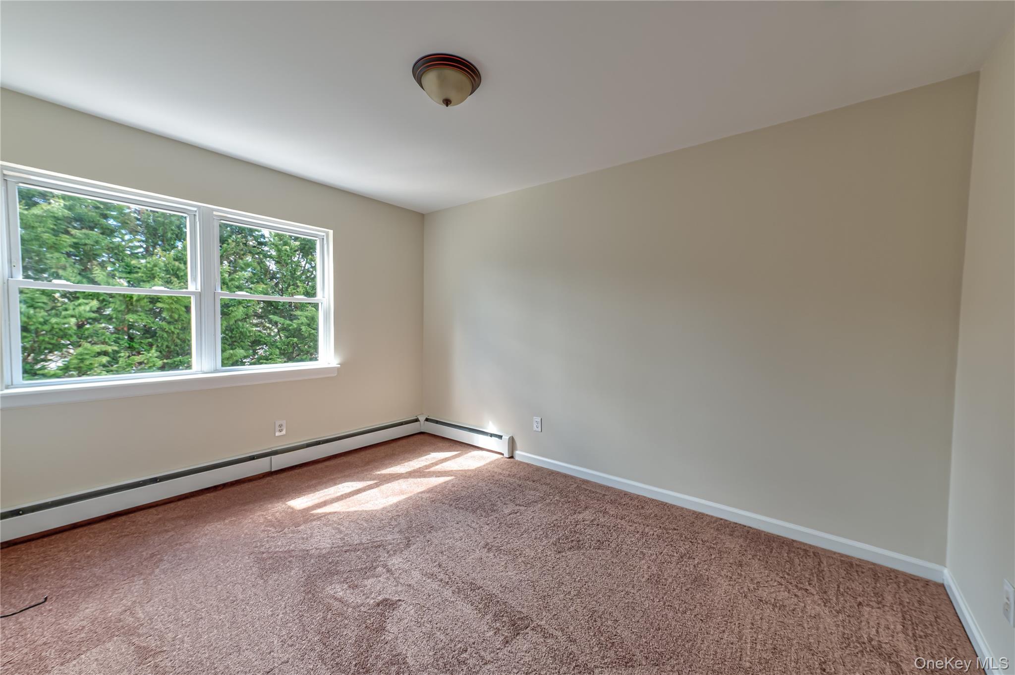 44 Westminster Drive Property Photo 23