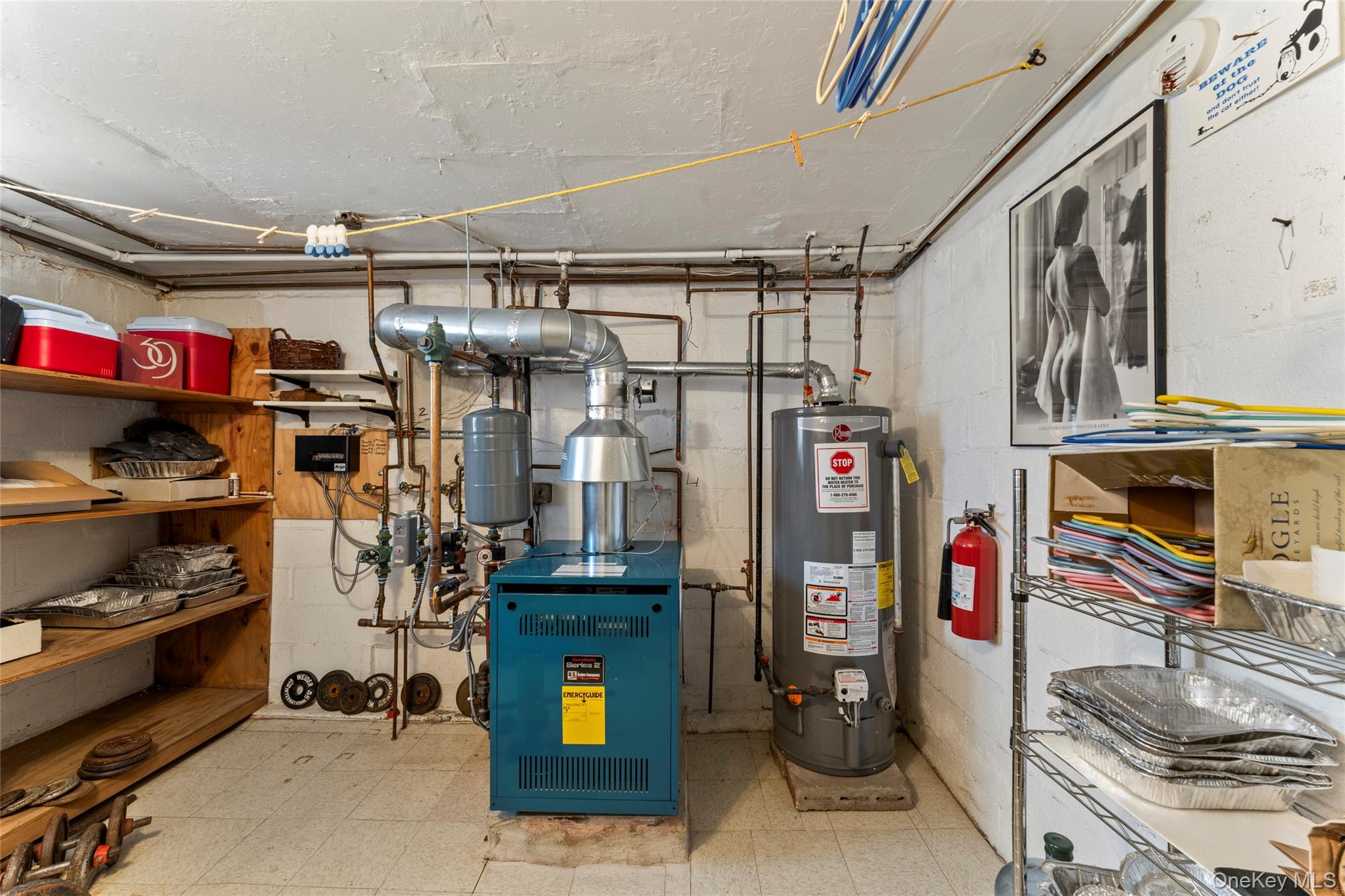 18 Butler Place Property Photo 41
