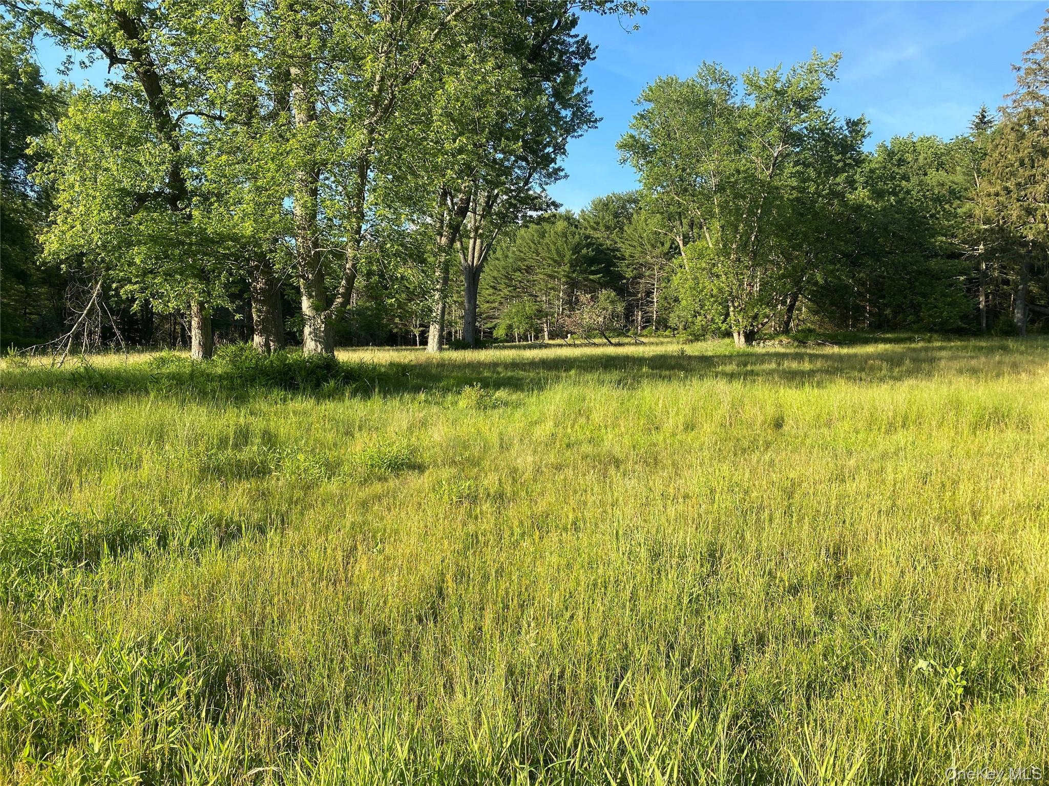 980120 Property Photo 3