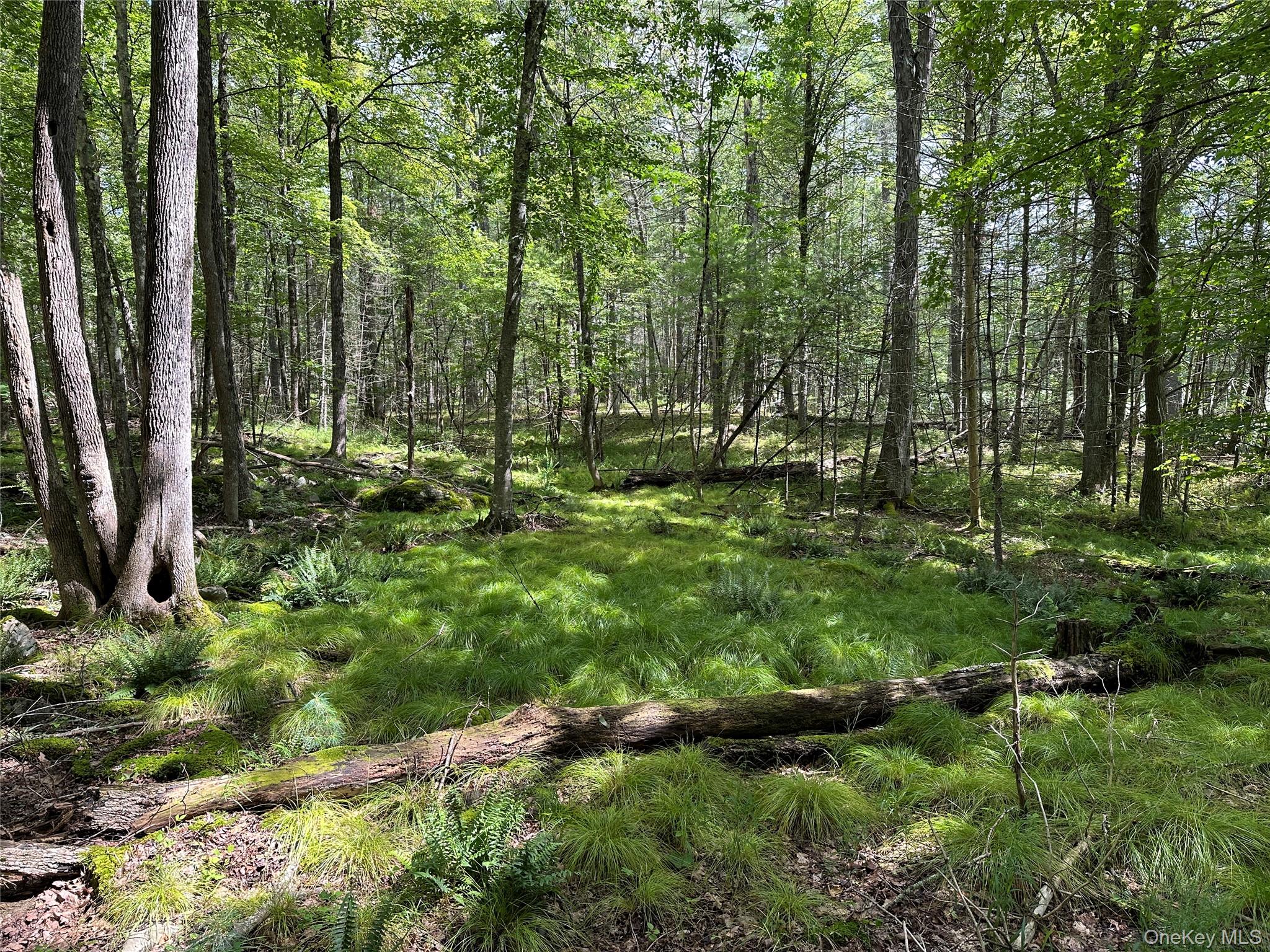 980120 Property Photo 17