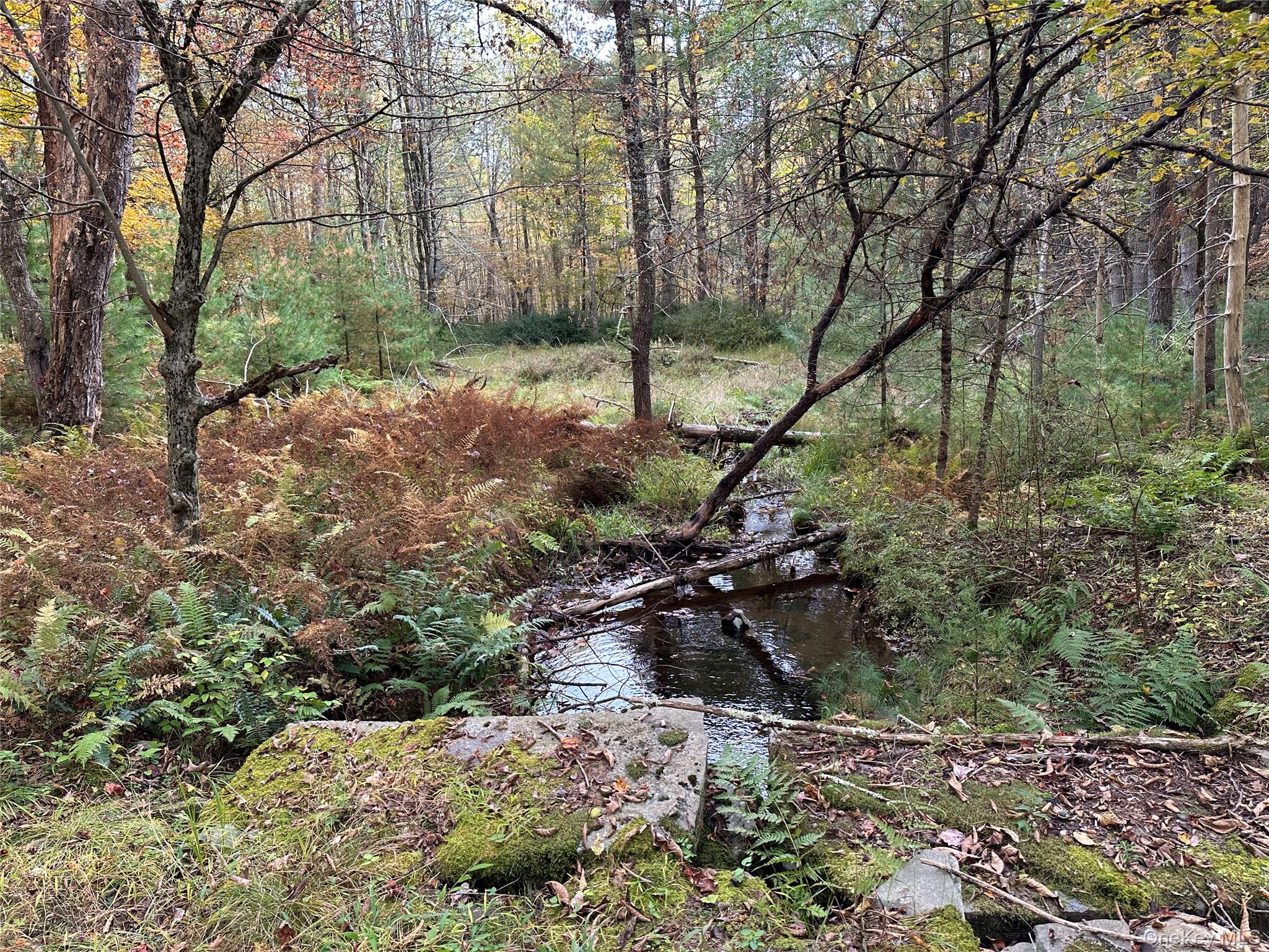 980120 Property Photo 18