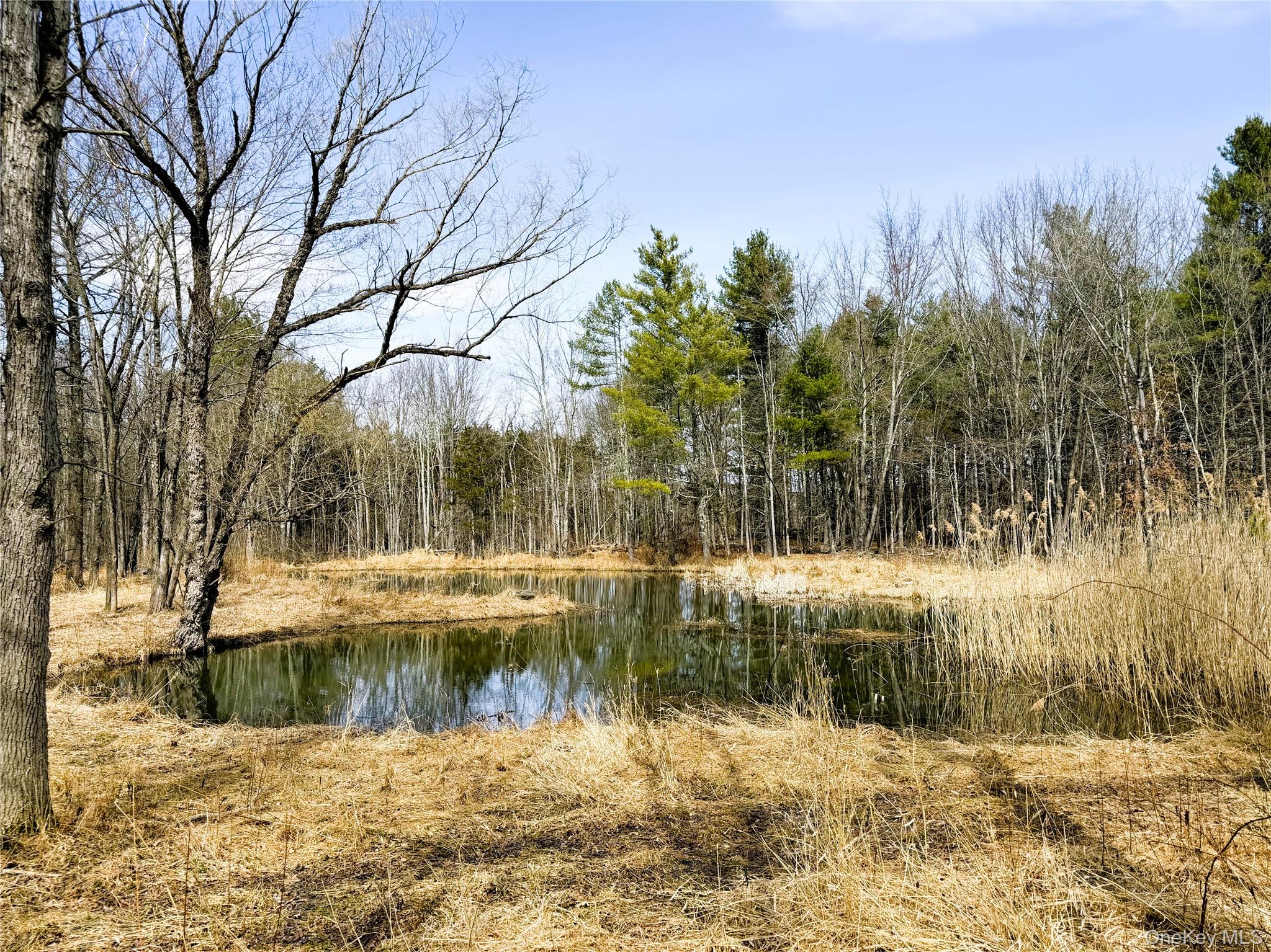 Tbd Frank Hitchcock Road Property Photo 1
