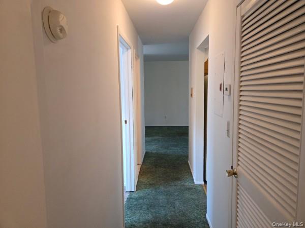 448 Somerset Drive H Property Photo 24