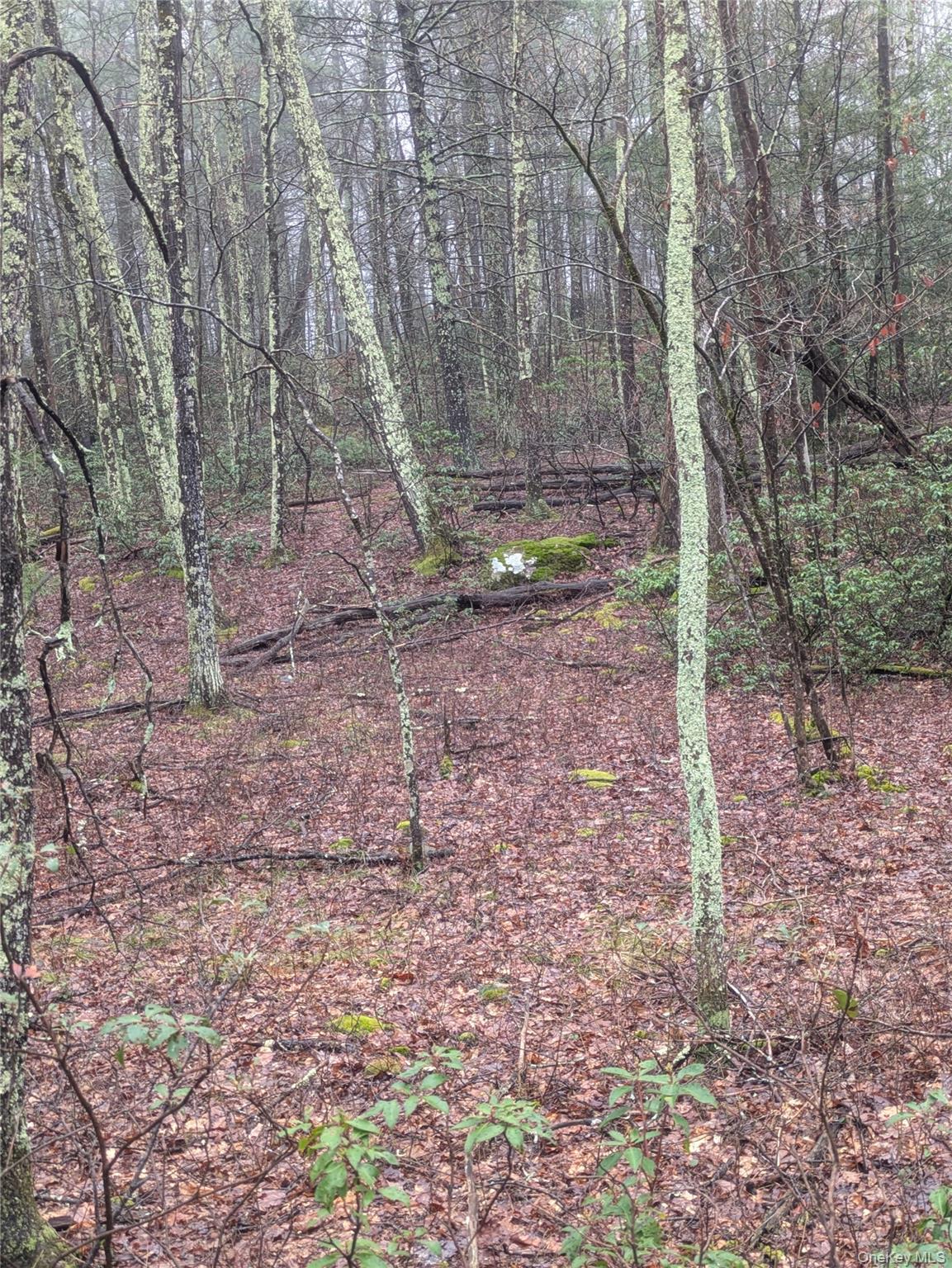 97 Otens Road Property Photo 2