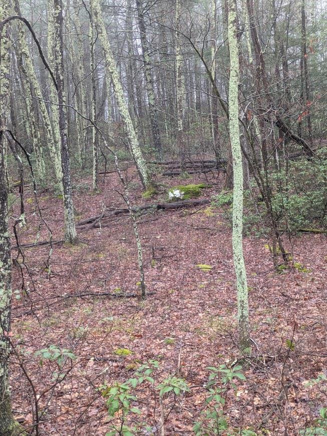 99 Otens Road Property Photo 3