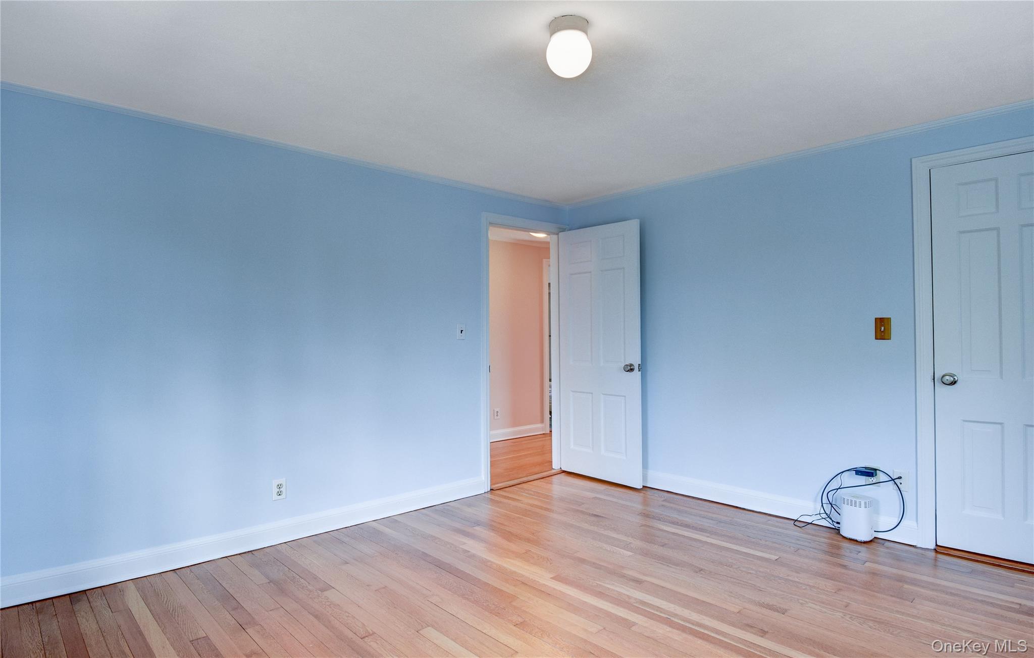 61 Kathwood Road Property Photo 35