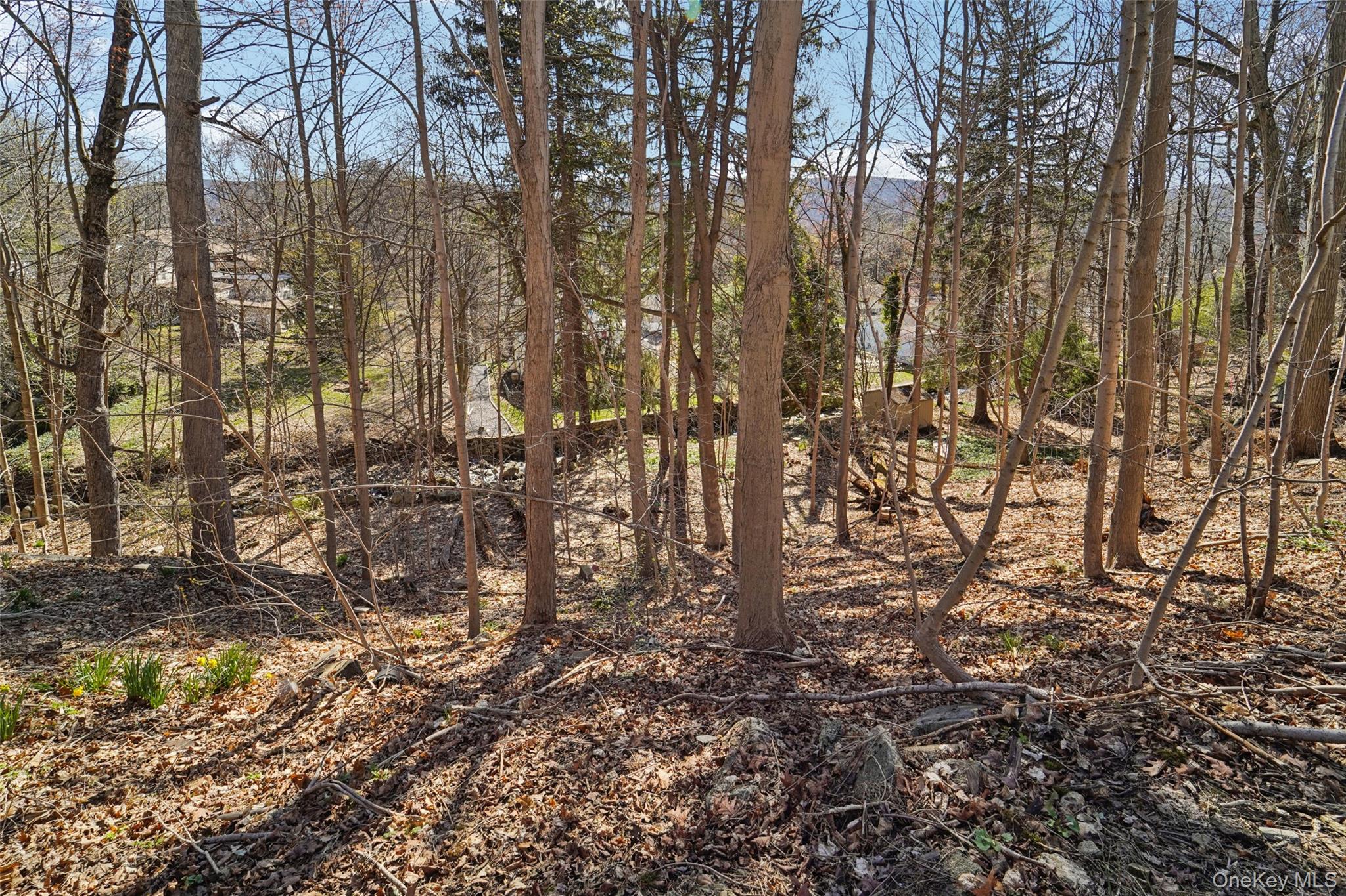 154 Old State Road Property Photo 38