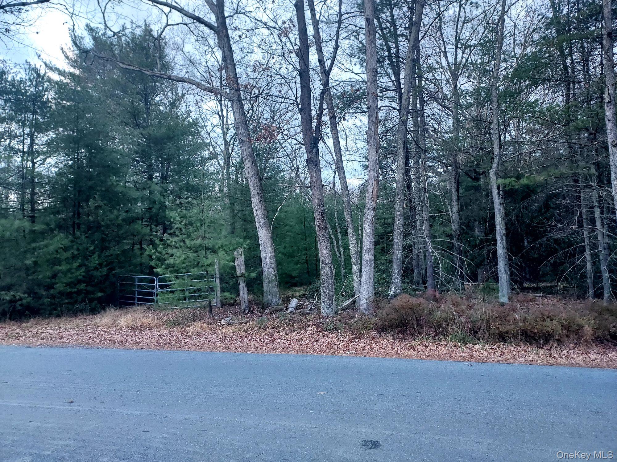 White Property Photo 1