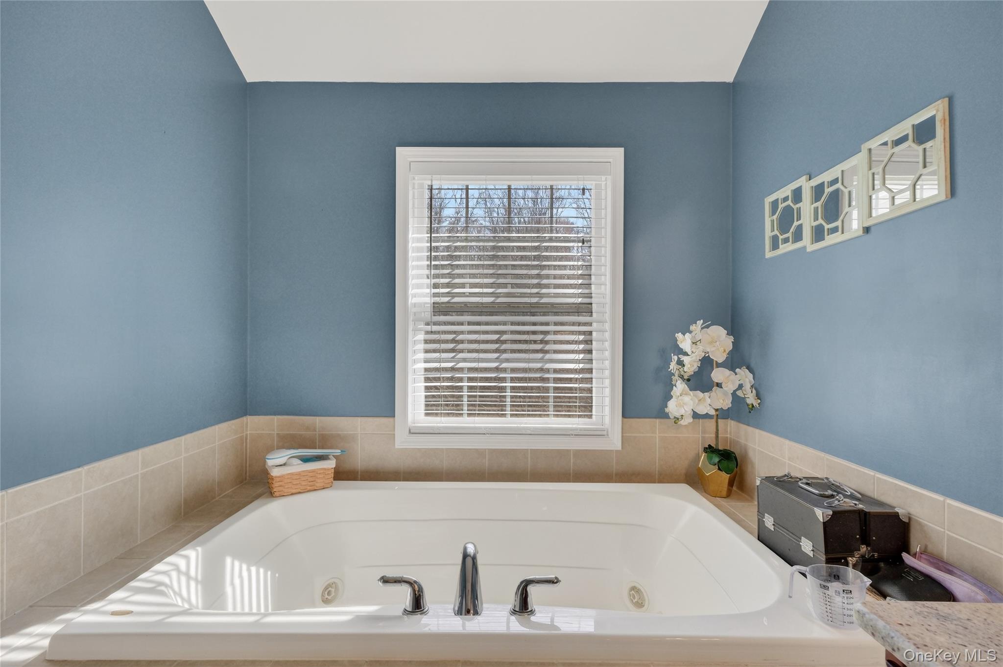 30 Meadowood Lane Property Photo 39