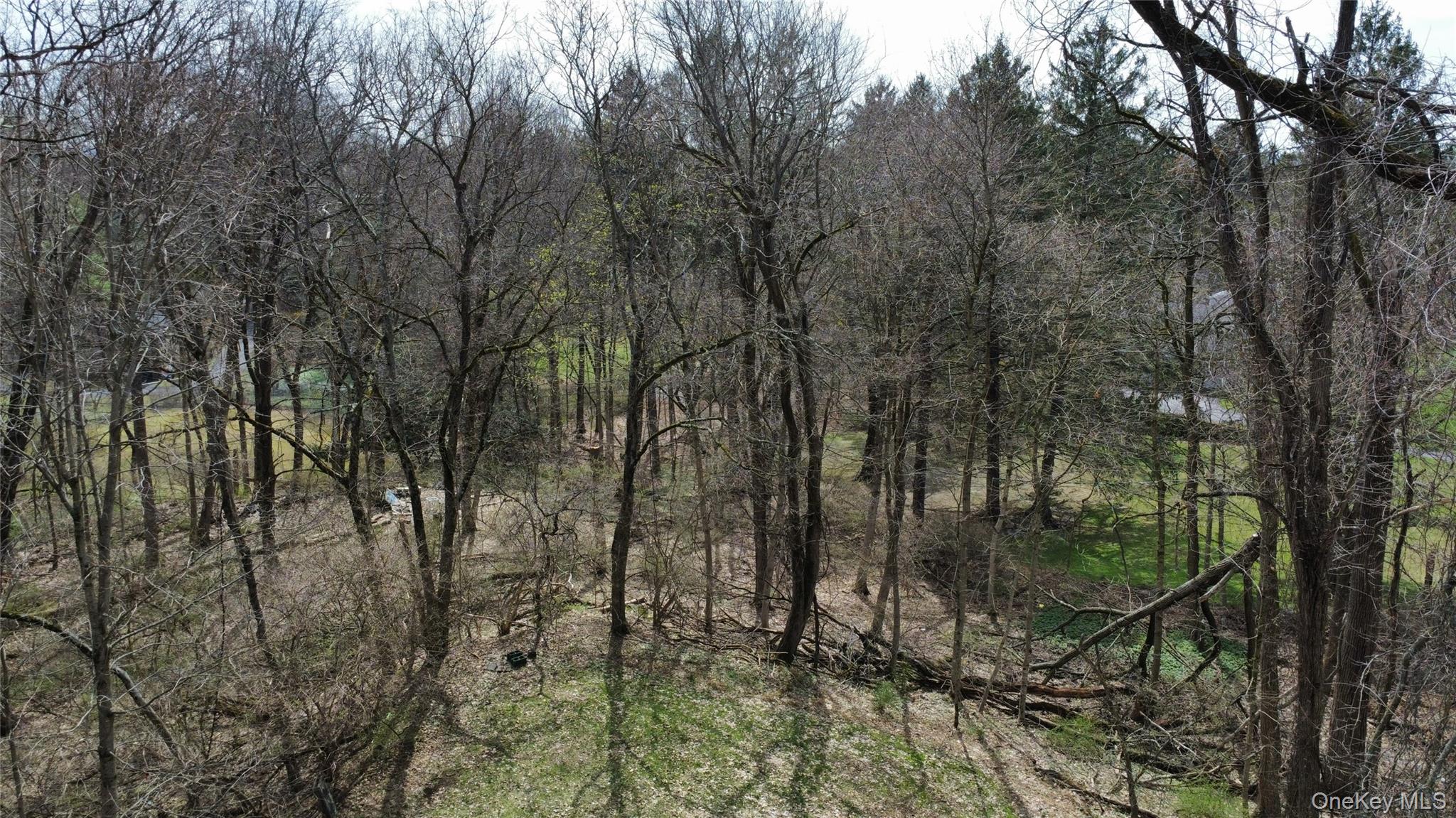 47 Kinderhook Drive Property Photo 22