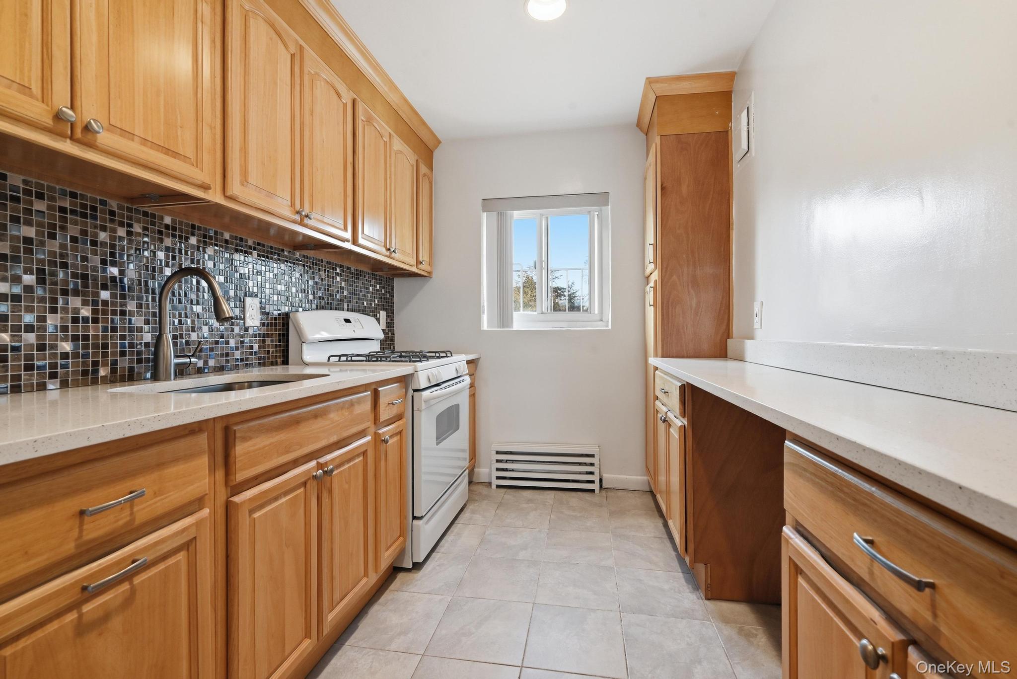 221 Middle Neck F6 Property Photo 11