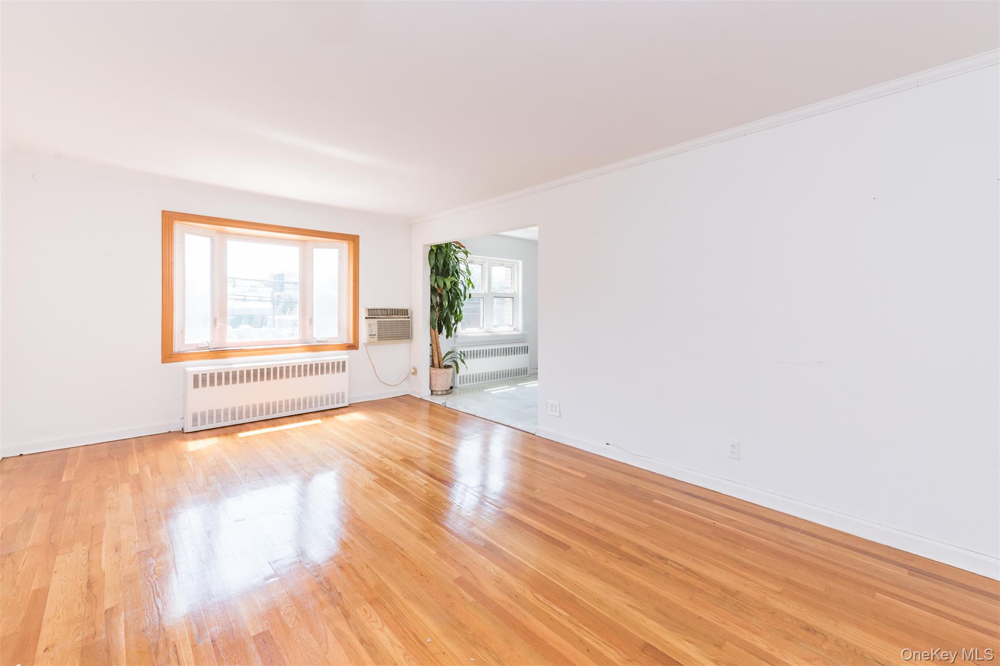 7107 Ditmars Boulevard Property Photo 12