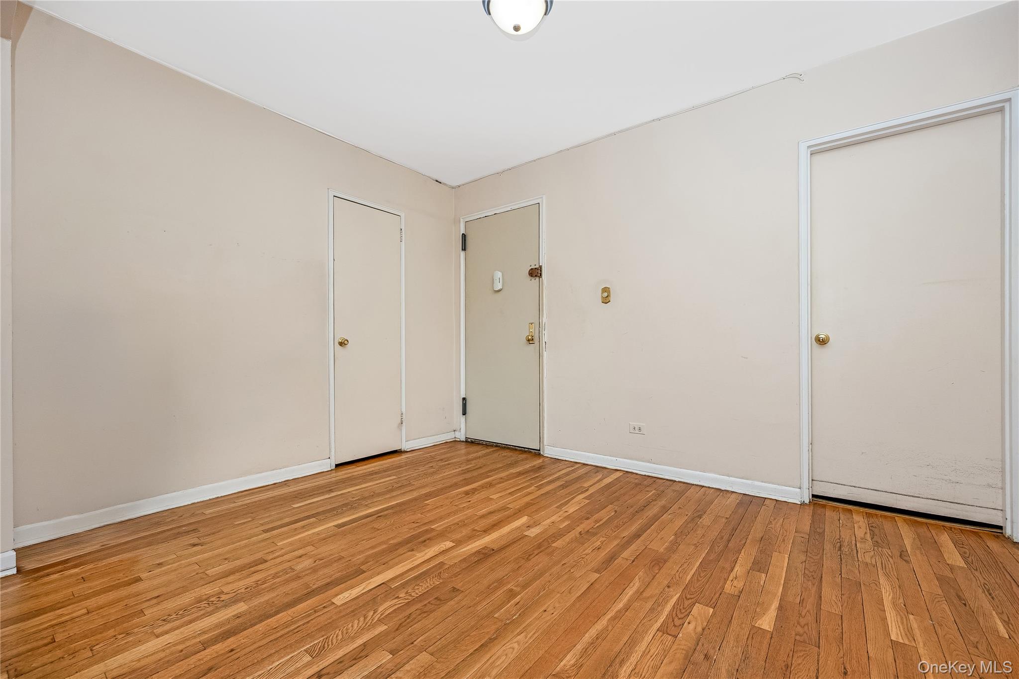 8035 Springfield Boulevard 3c Property Photo 18