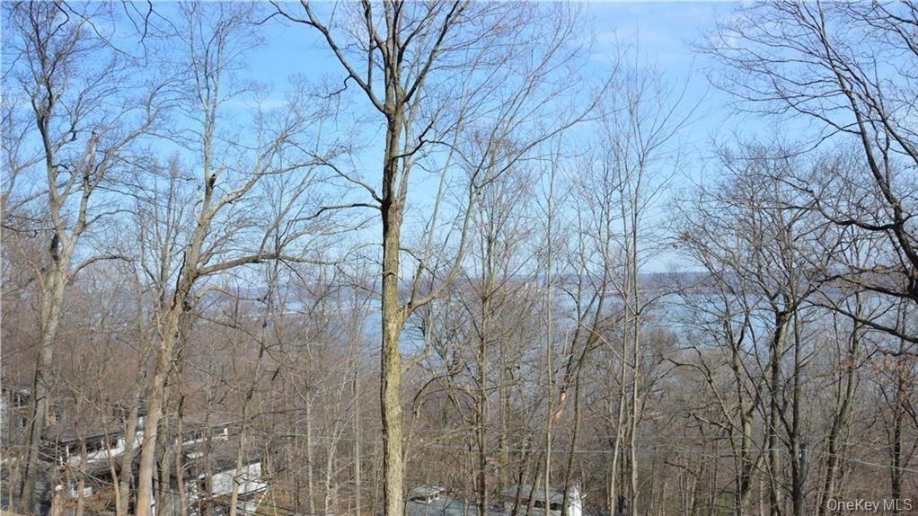 242 Tweed Boulevard Property Photo 1